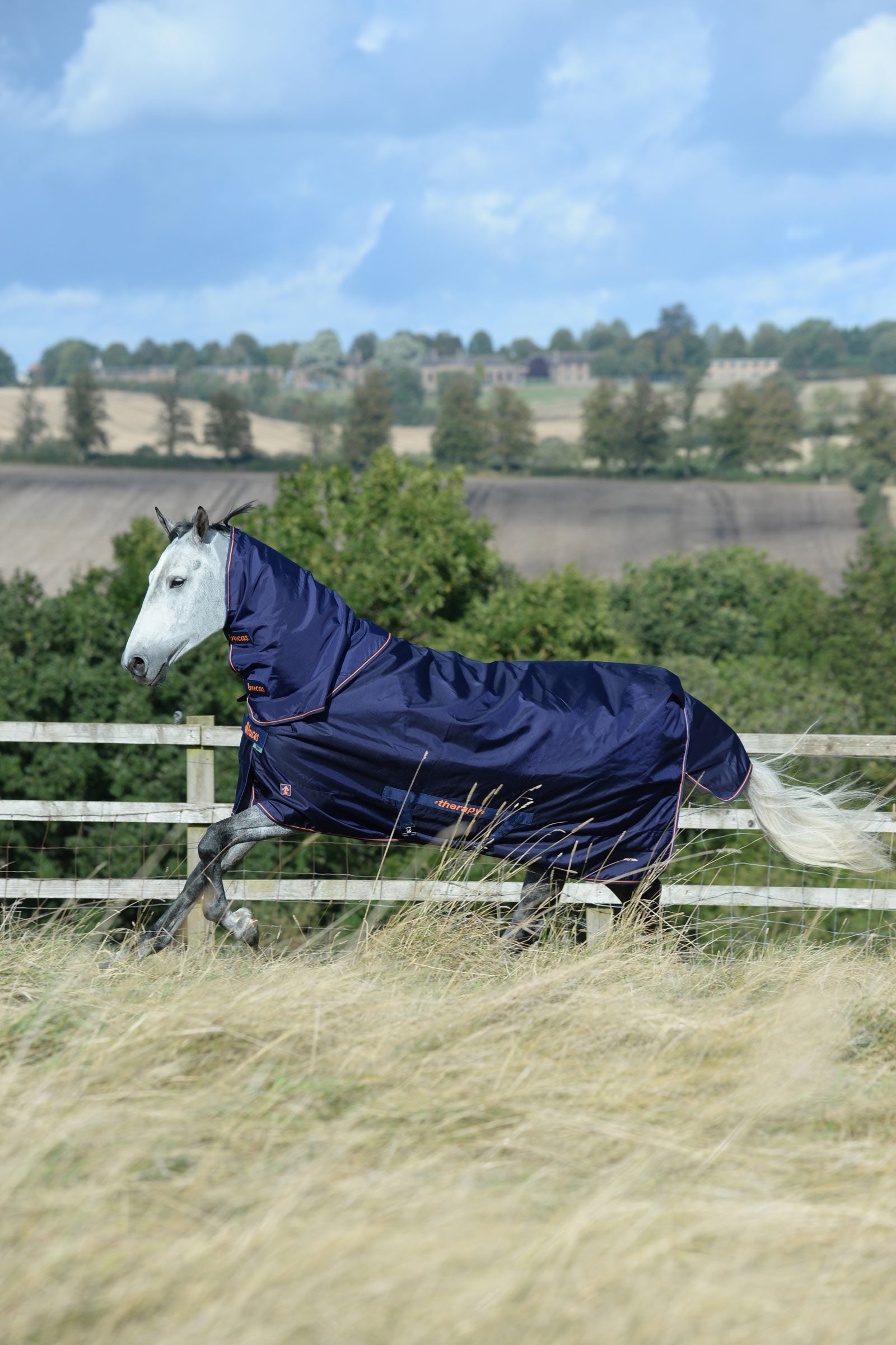 Bucas Therapy Turnout Rug, 150g Horse Rugs