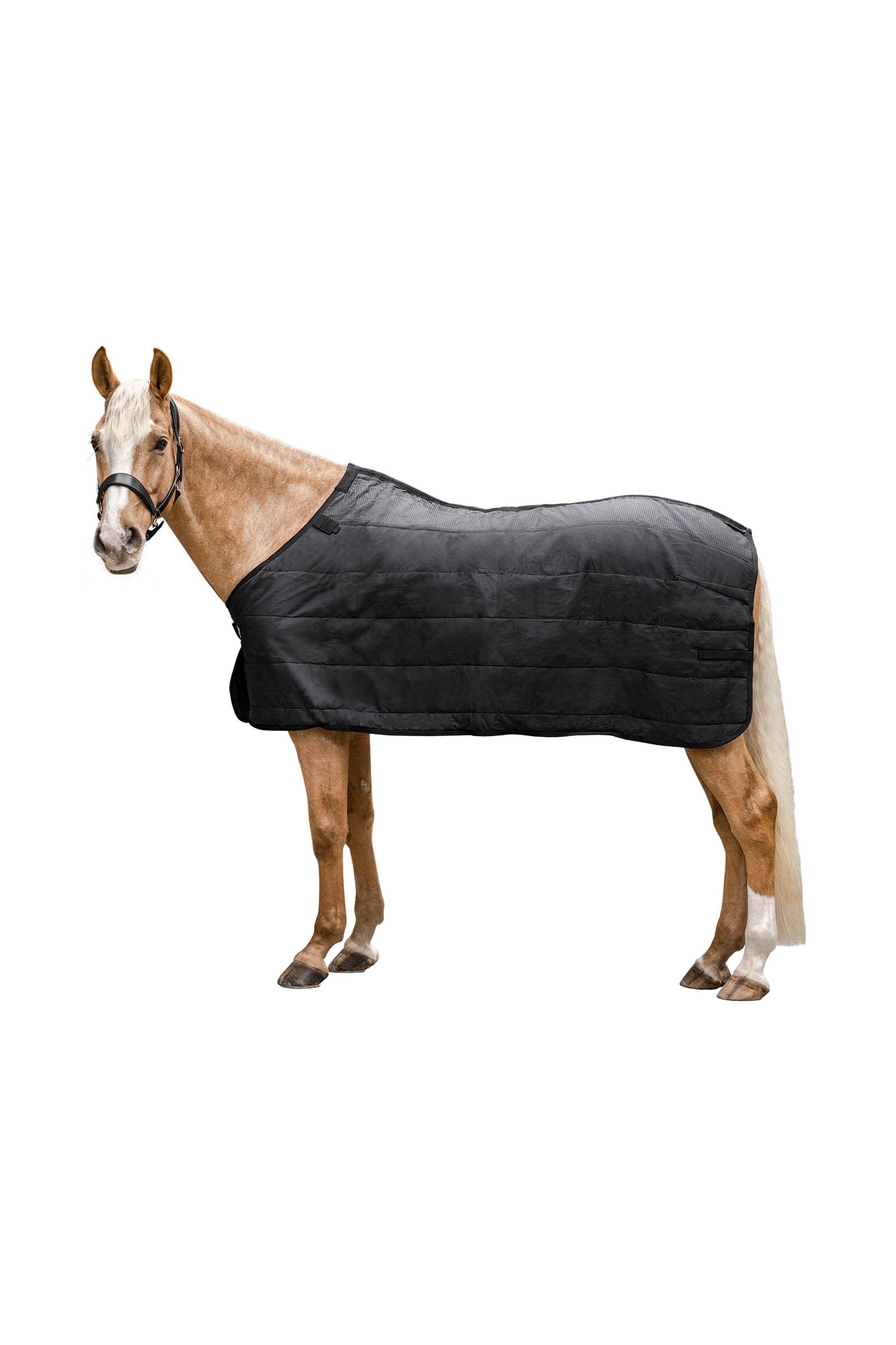 Waldhausen Thermo Underrug 200 g Paardendekens