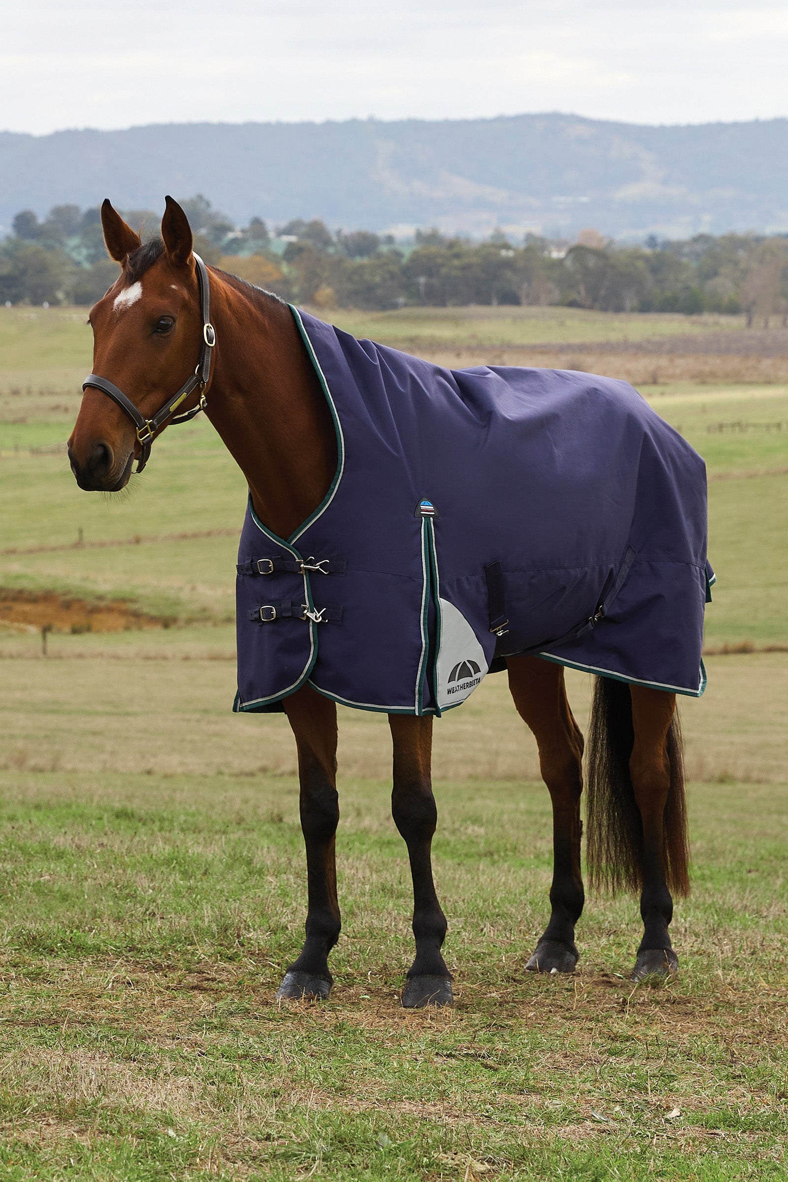 Weatherbeeta ComFiTecPlus Dynamic Turnout High Neck 100G Horse Rugs