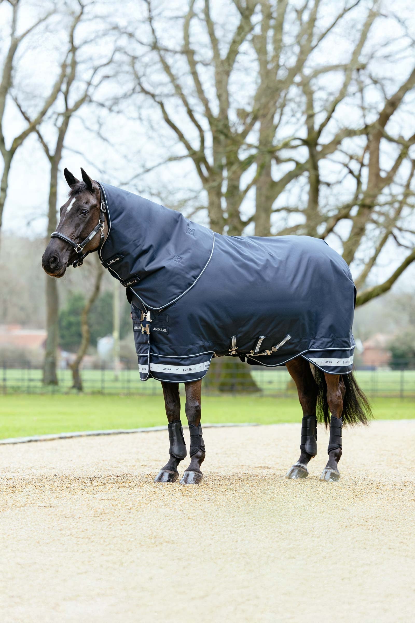 LeMieux Arika Storm-Tek regendeken met afneembaar halsdeel, 100 g Paardendekens