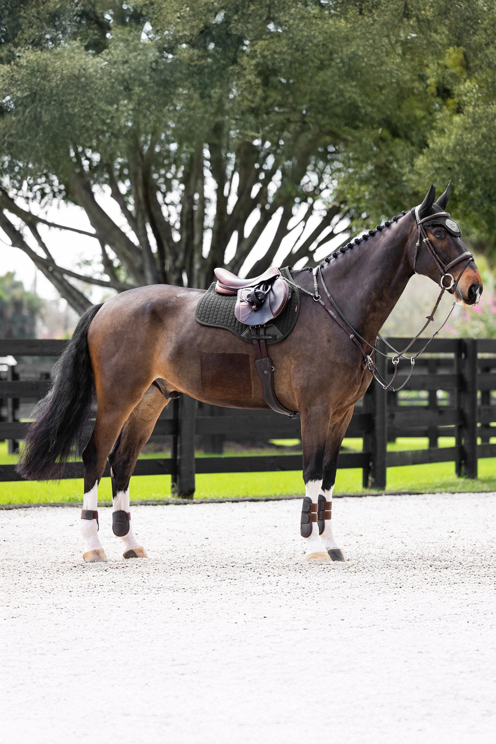 LeMieux Prosorb Plain 2 Pocket GP Square Pad Saddle Pads