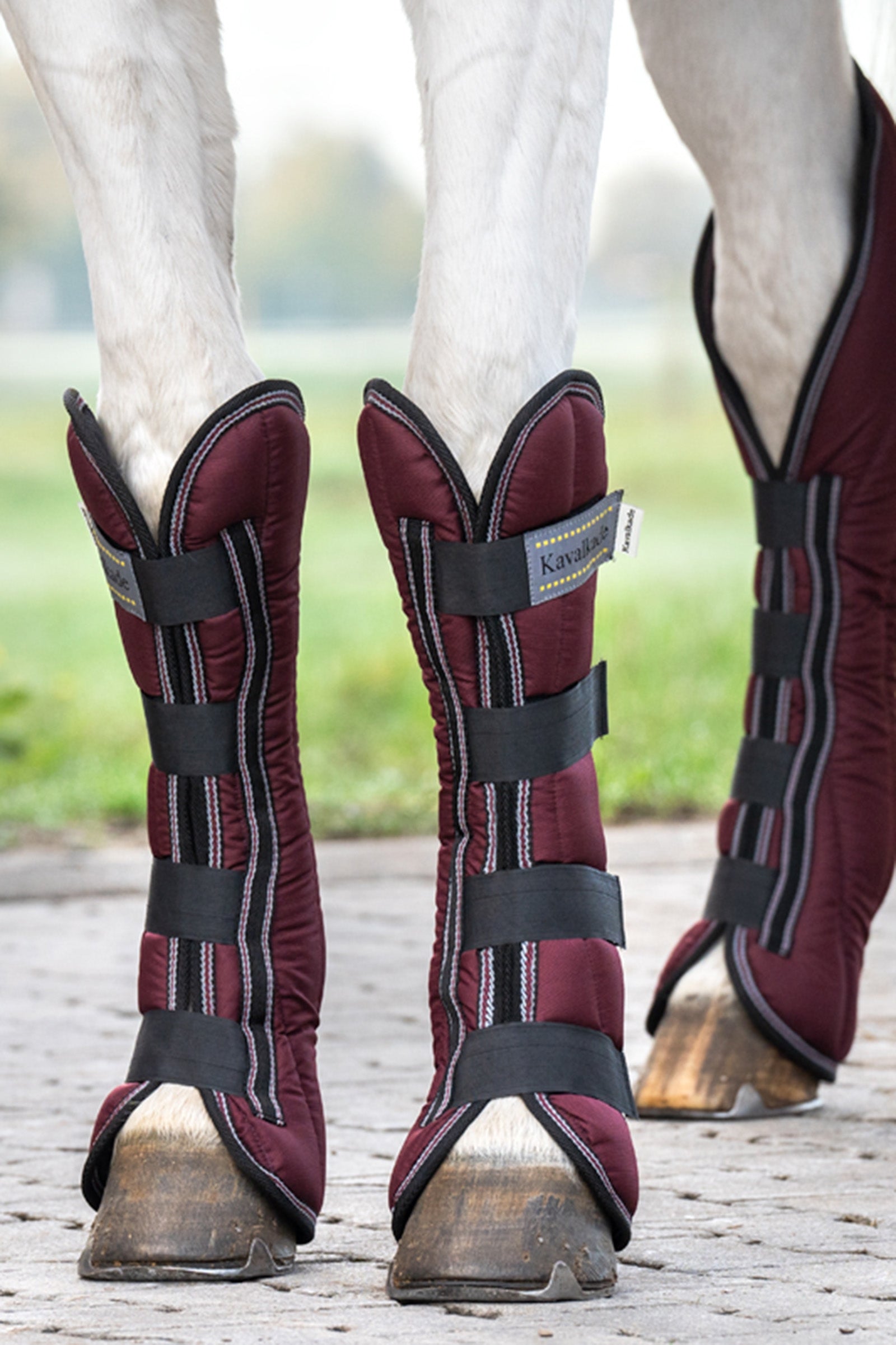 Kavalkade Montreal Travelling Boots (Set of 4) Leg & Hoof Protection