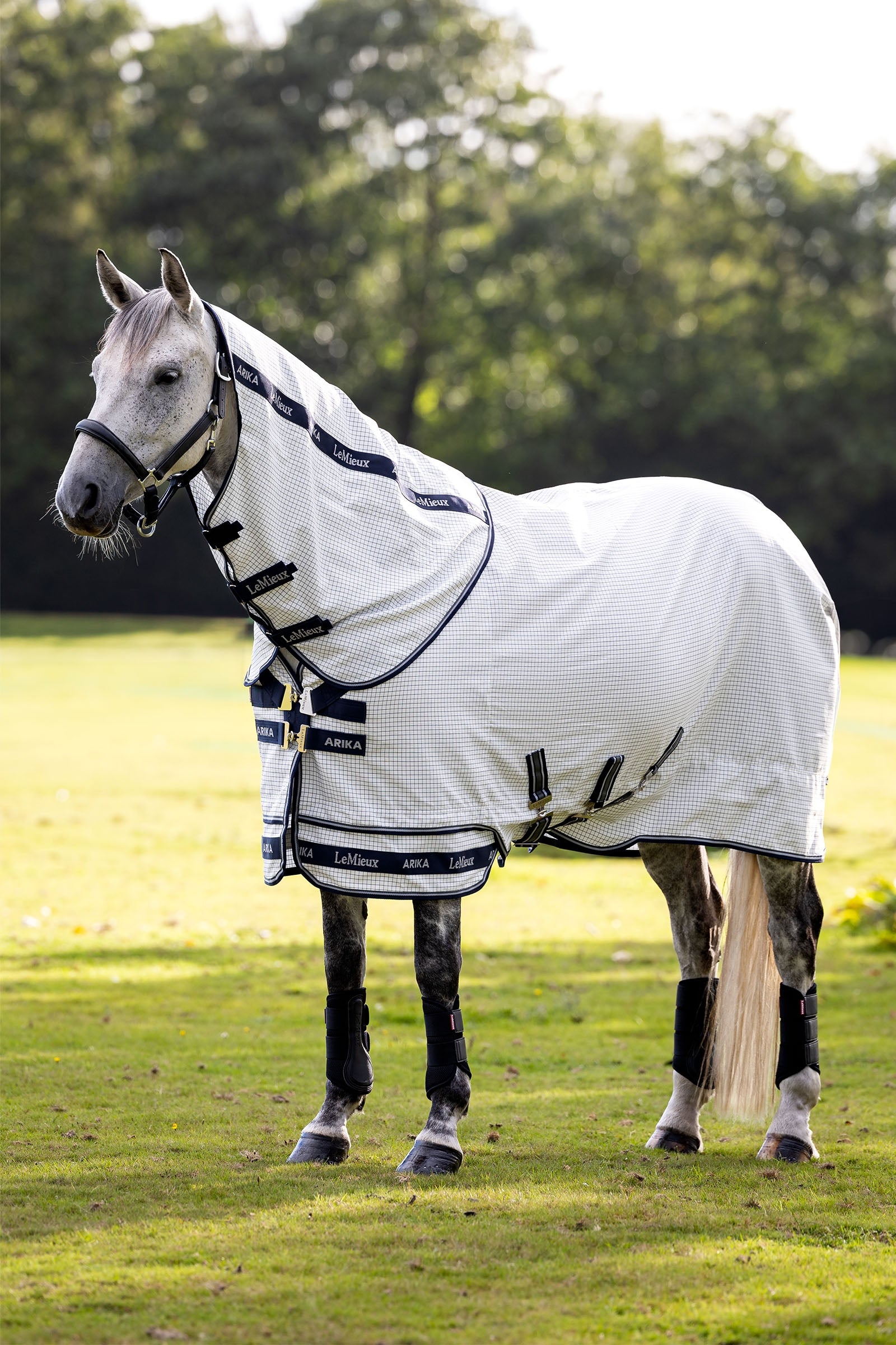 LeMieux Arika 450D outdoordeken met afneembaar halsstuk, 0g Paardendekens
