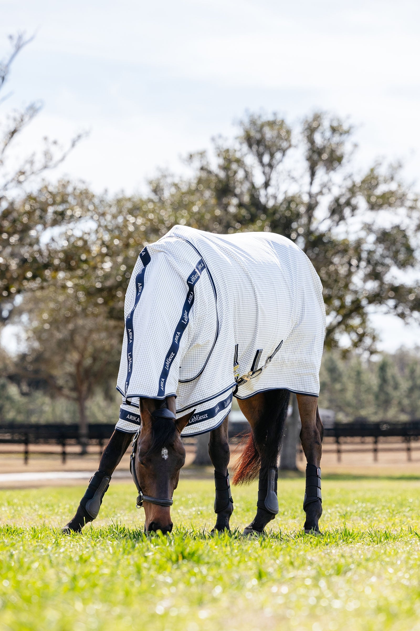 LeMieux Arika 450D Turnout Rug With Detachable Neck, 0g Horse Rugs