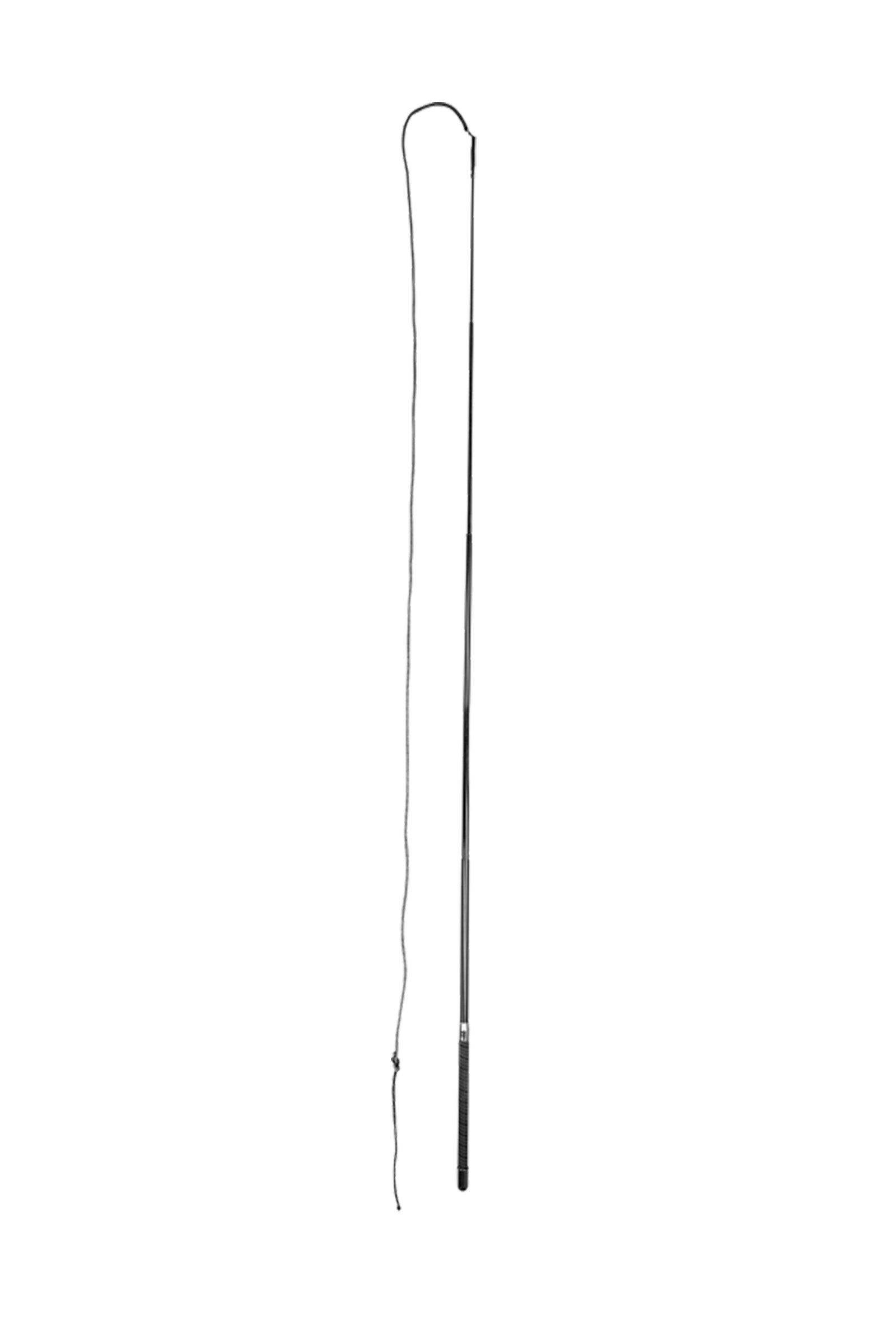 Waldhausen Longeerzweep Superlight van Zwepen