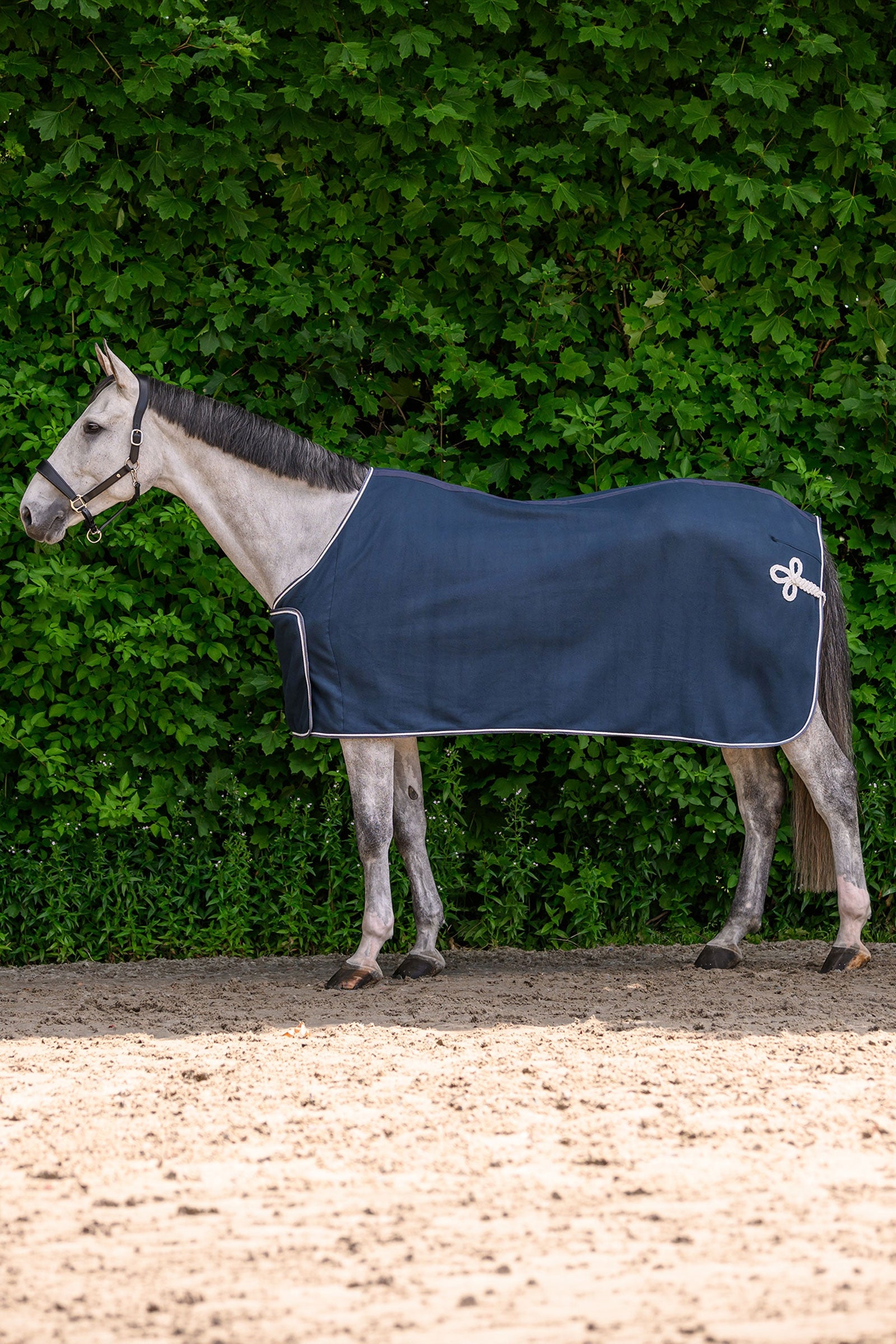 Waldhausen ECONOMIC fleece reclame deken Paardendekens