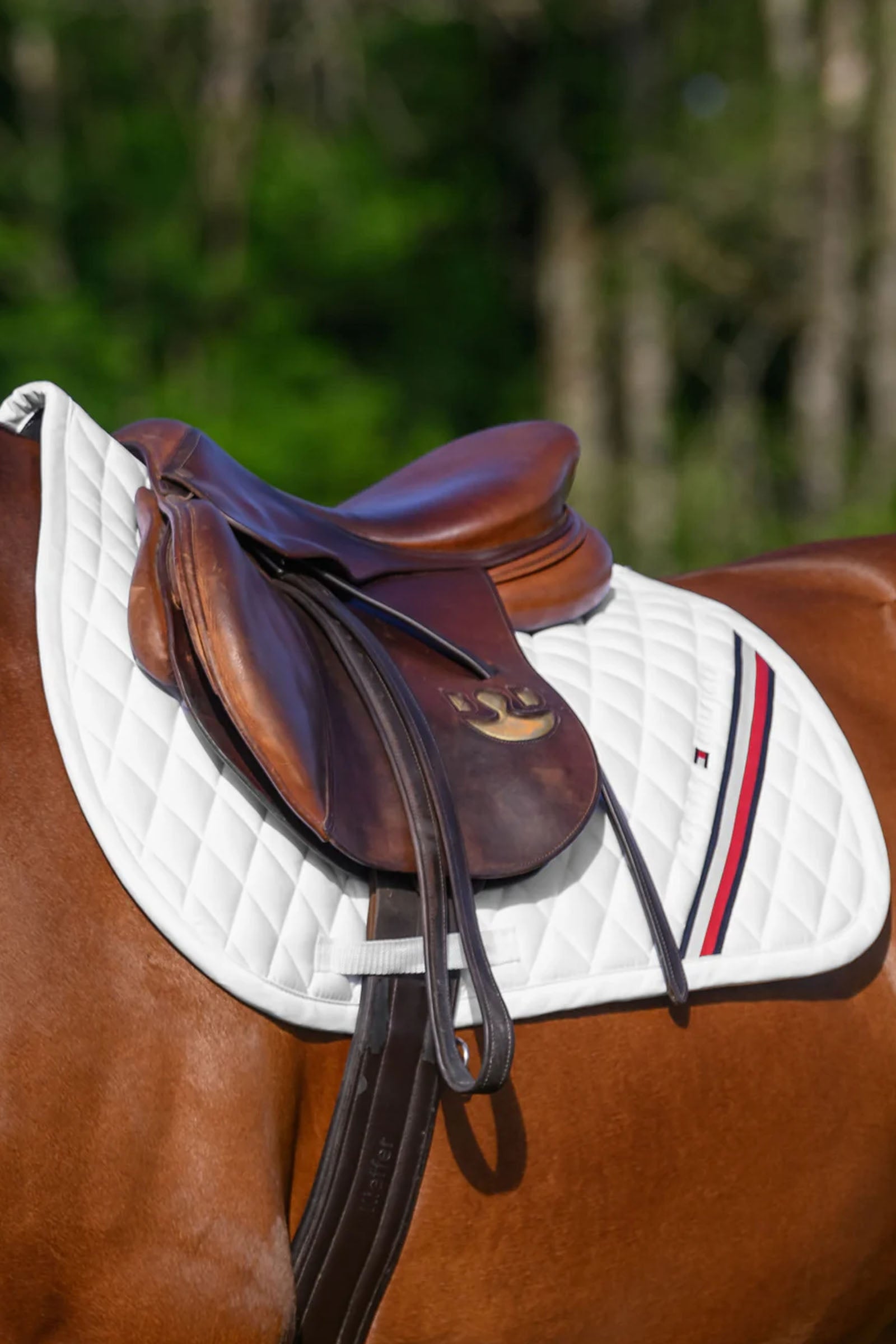 Tommy Hilfiger Equestrian Stanford Jumping Saddlepad Saddle Pads