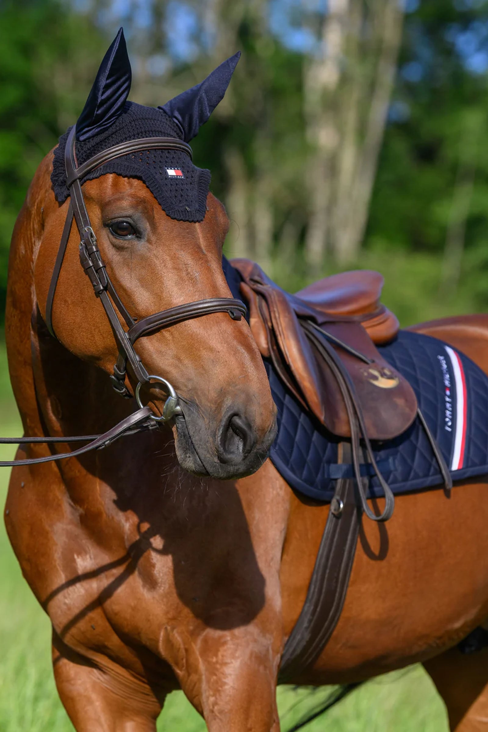 Tommy Hilfiger Equestrian Stanford Jumping Saddlepad Saddle Pads