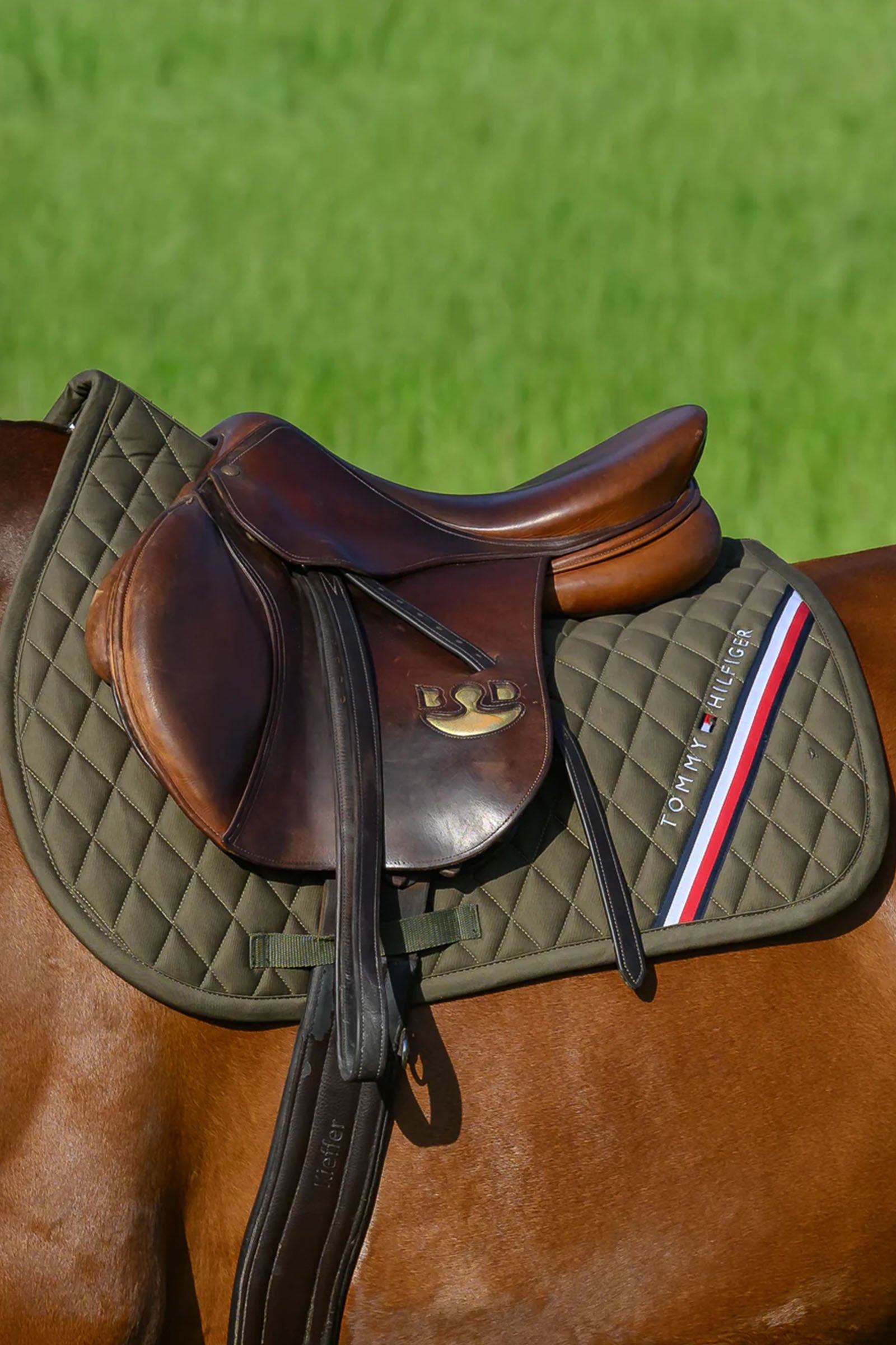 Tommy Hilfiger Equestrian Stanford Jumping Saddlepad Saddle Pads