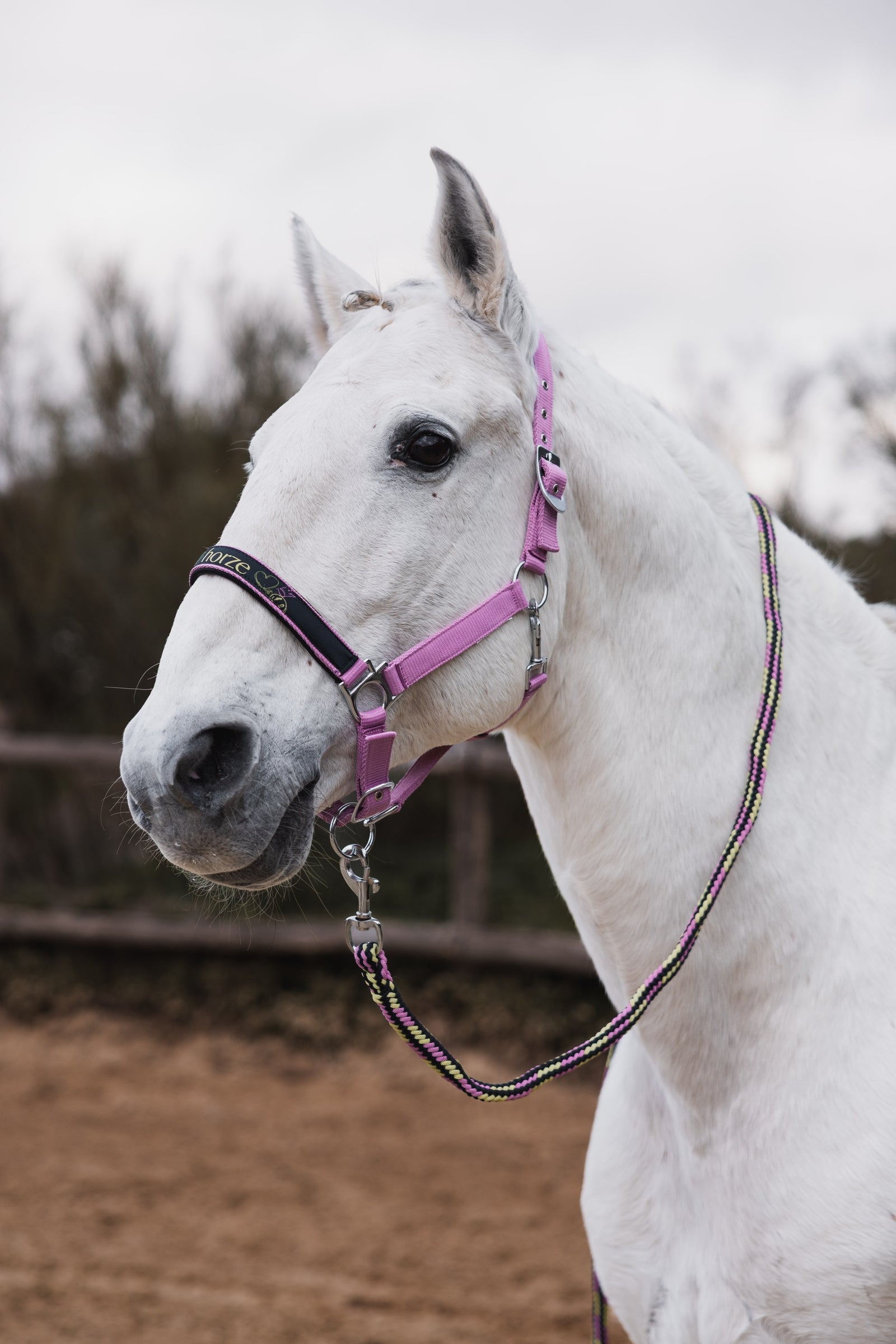 Horze Graffiti Pony Halter & Lead Rope Set Pony & Shetland Tac