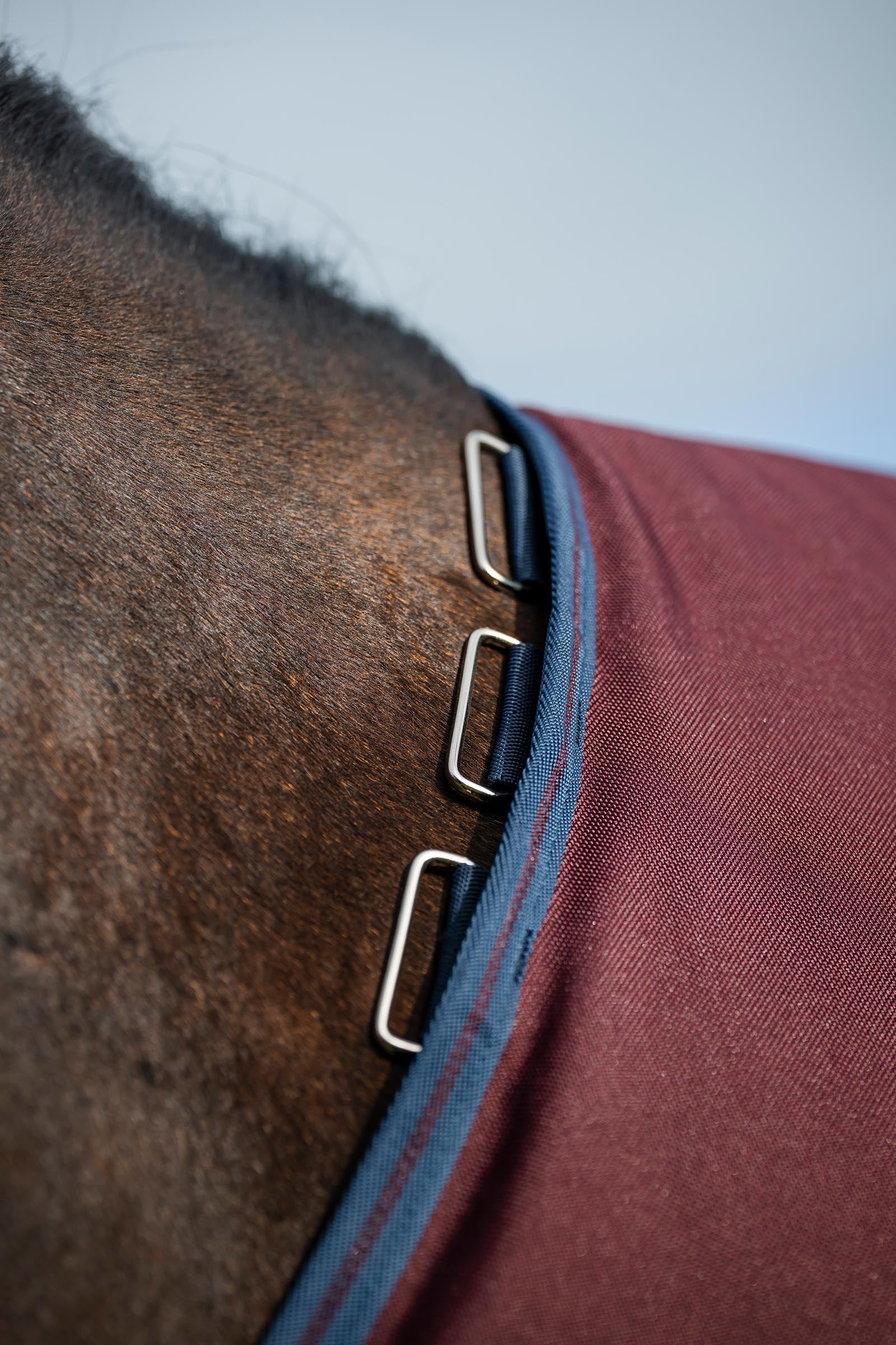Horseware Amigo 1200D Turnout Rug, 250 g Horse Rugs