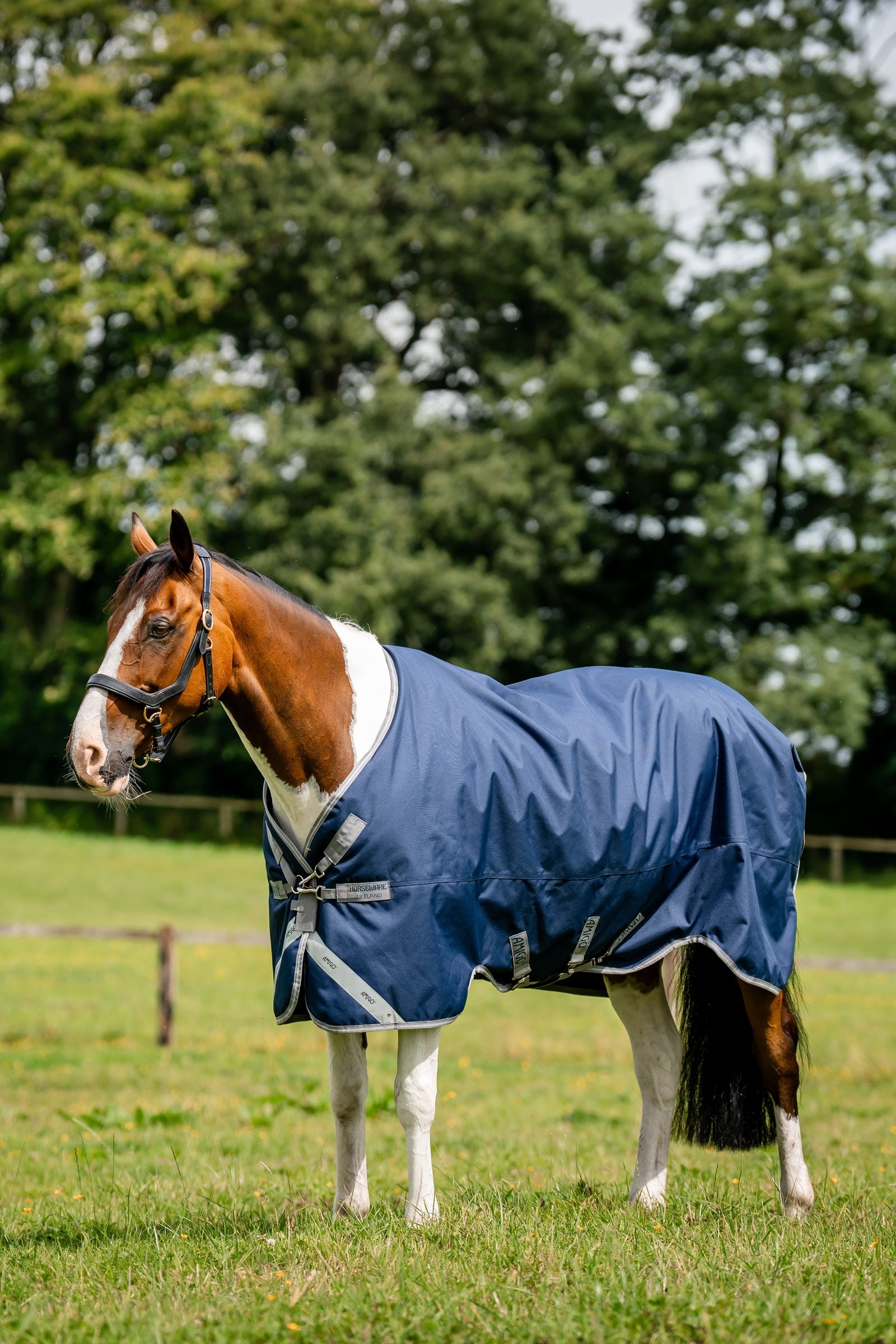 Horseware Amigo 1200D turnoutdeken, 250 g Paardendekens