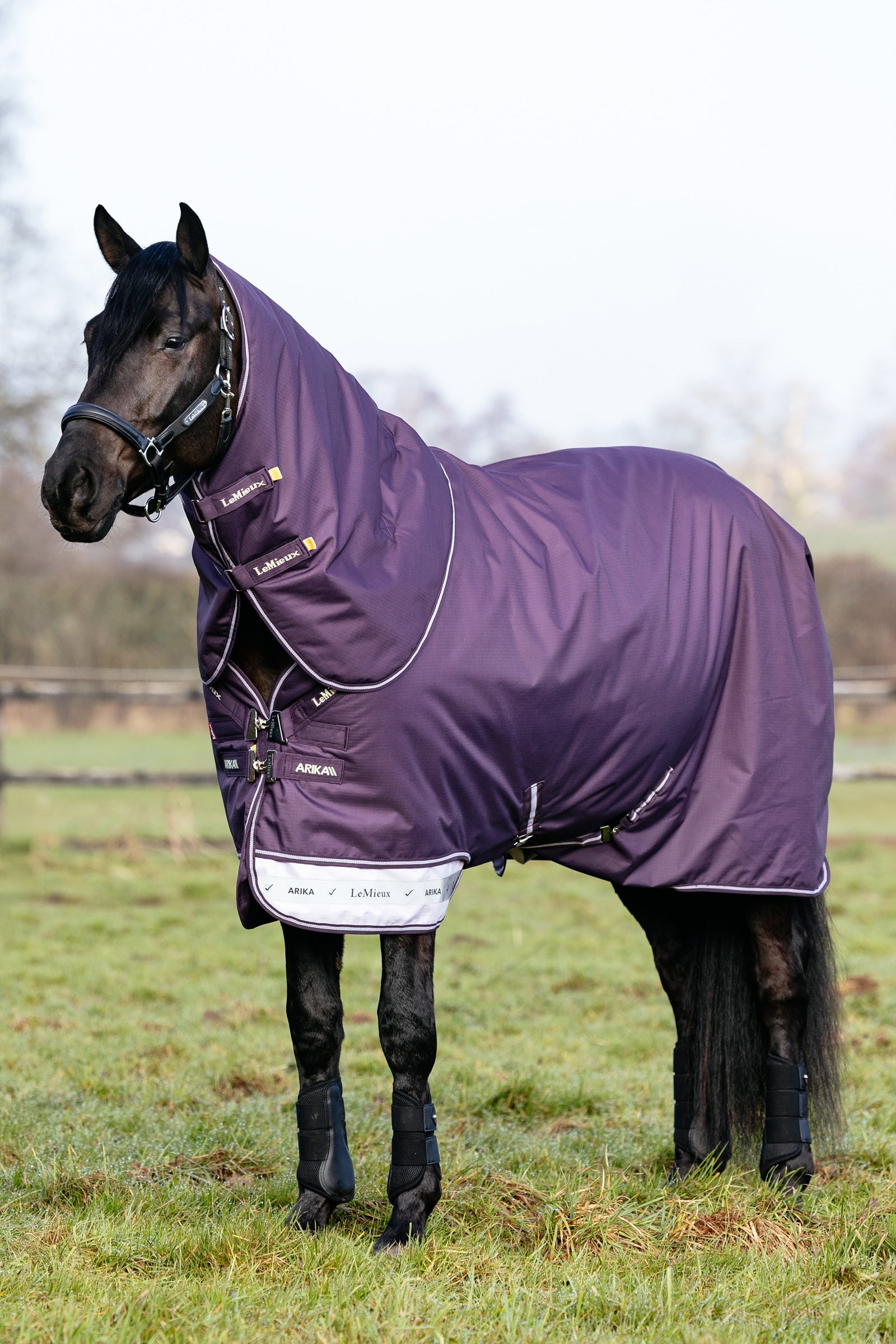 LeMieux Arika Ripstop Turnout Rug With Detachable Neck, 100 g Horse Rugs