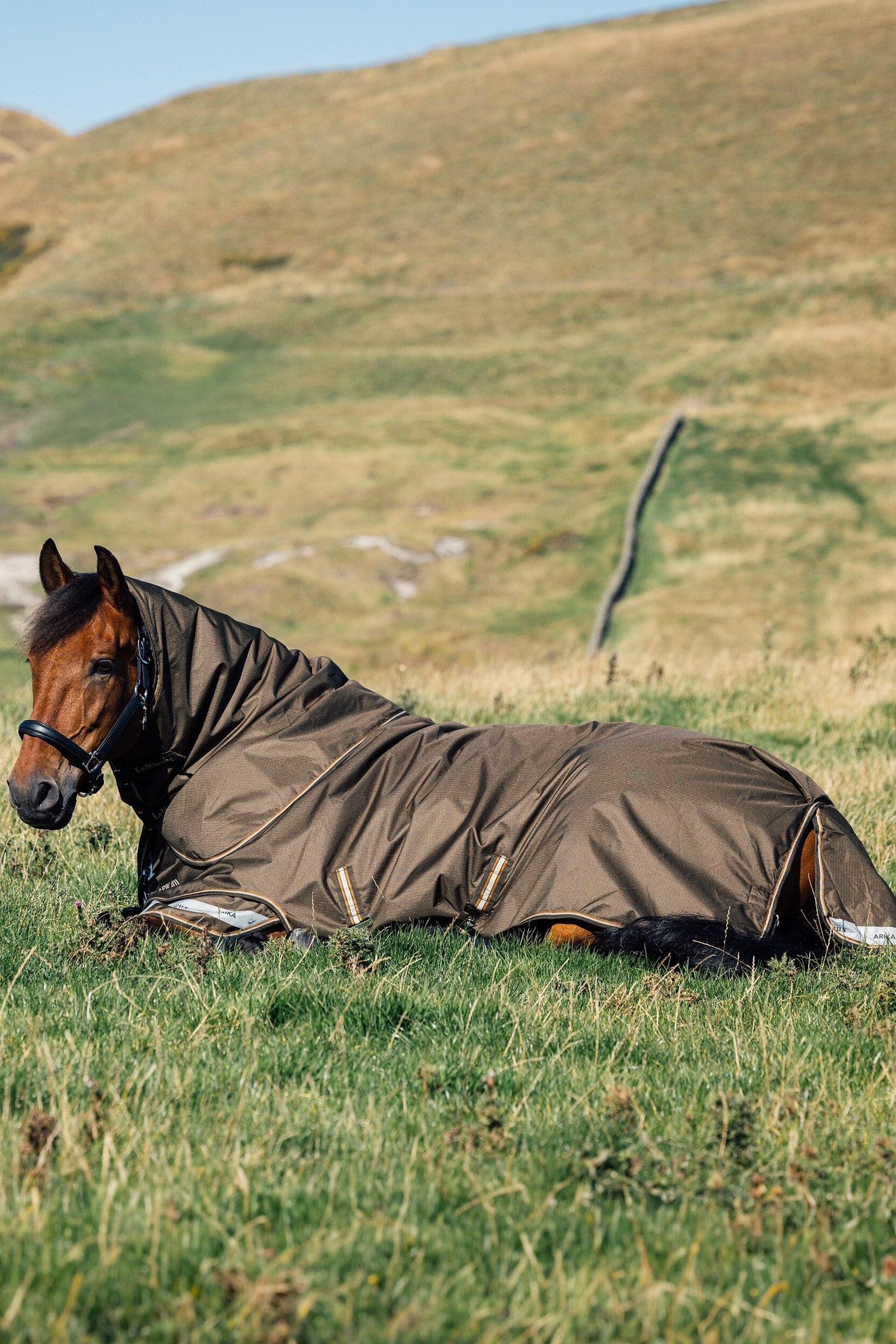 LeMieux Arika Ripstop Turnout Rug With Detachable Neck, 100 g Horse Rugs