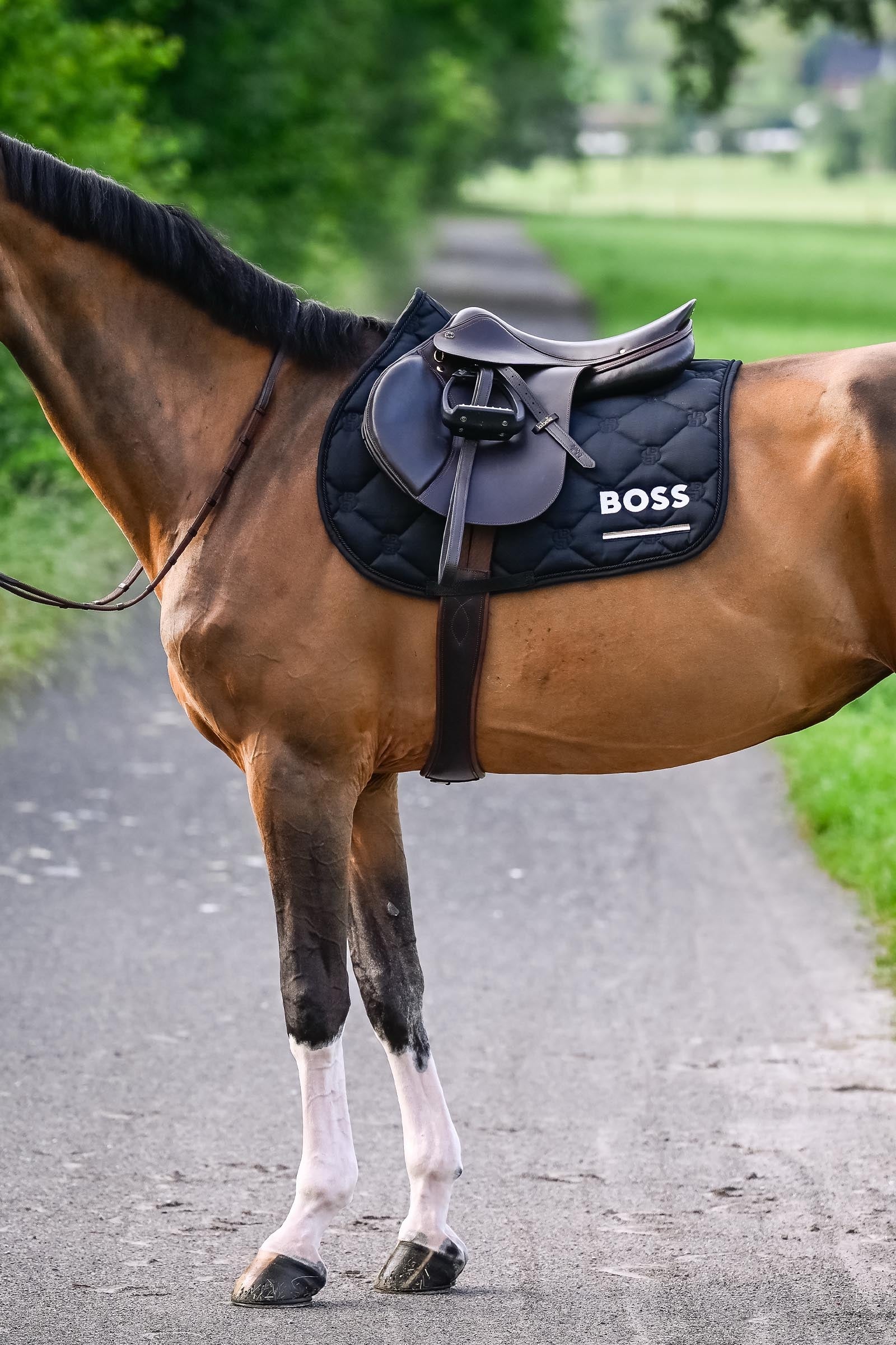 BOSS Equestrian Boss Cheltenham Jump Saddle Pad Saddle Pads