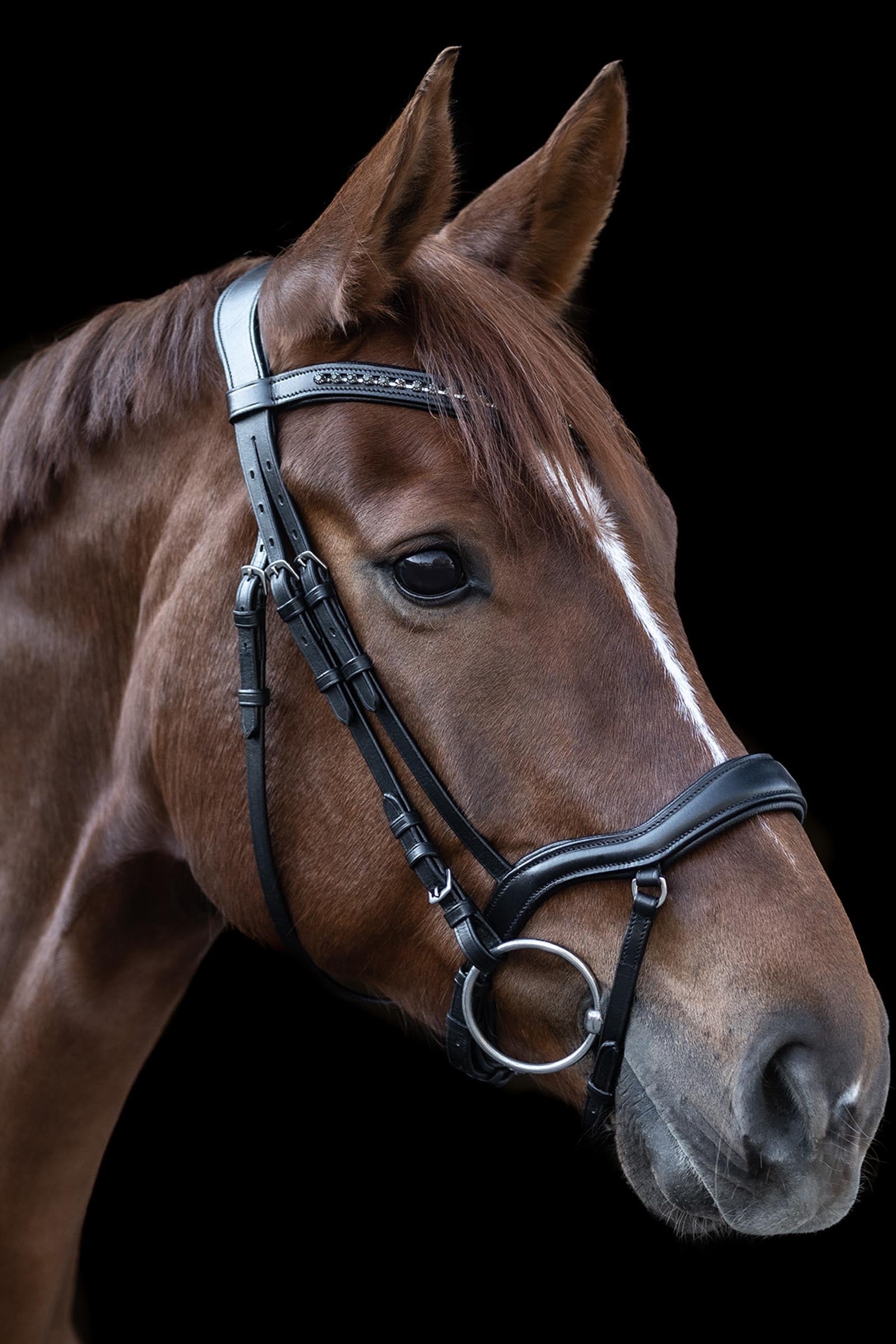 Waldhausen X-Line New Shape II, Bridle Bridles & Reins