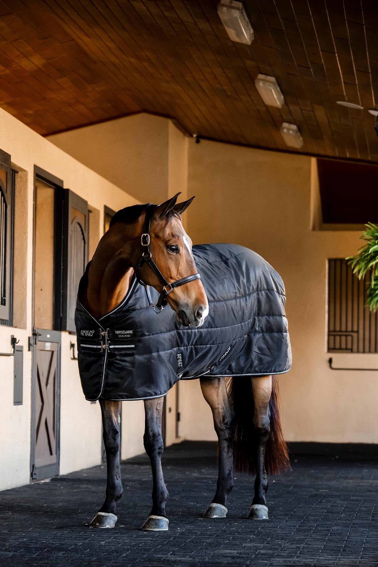 Horseware Amigo Ripstop Insulator Stable Rug, 200g Horse Rugs