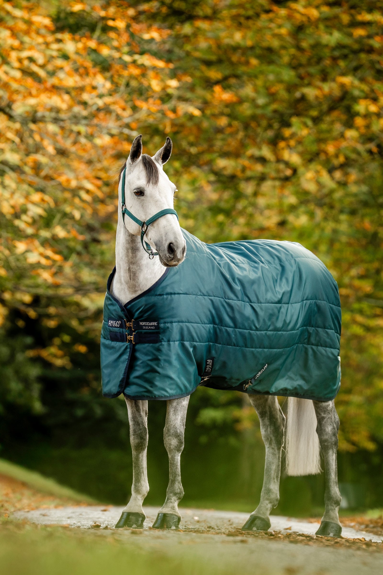 Horseware Amigo Ripstop Insulator staldeken, 200g Paardendekens