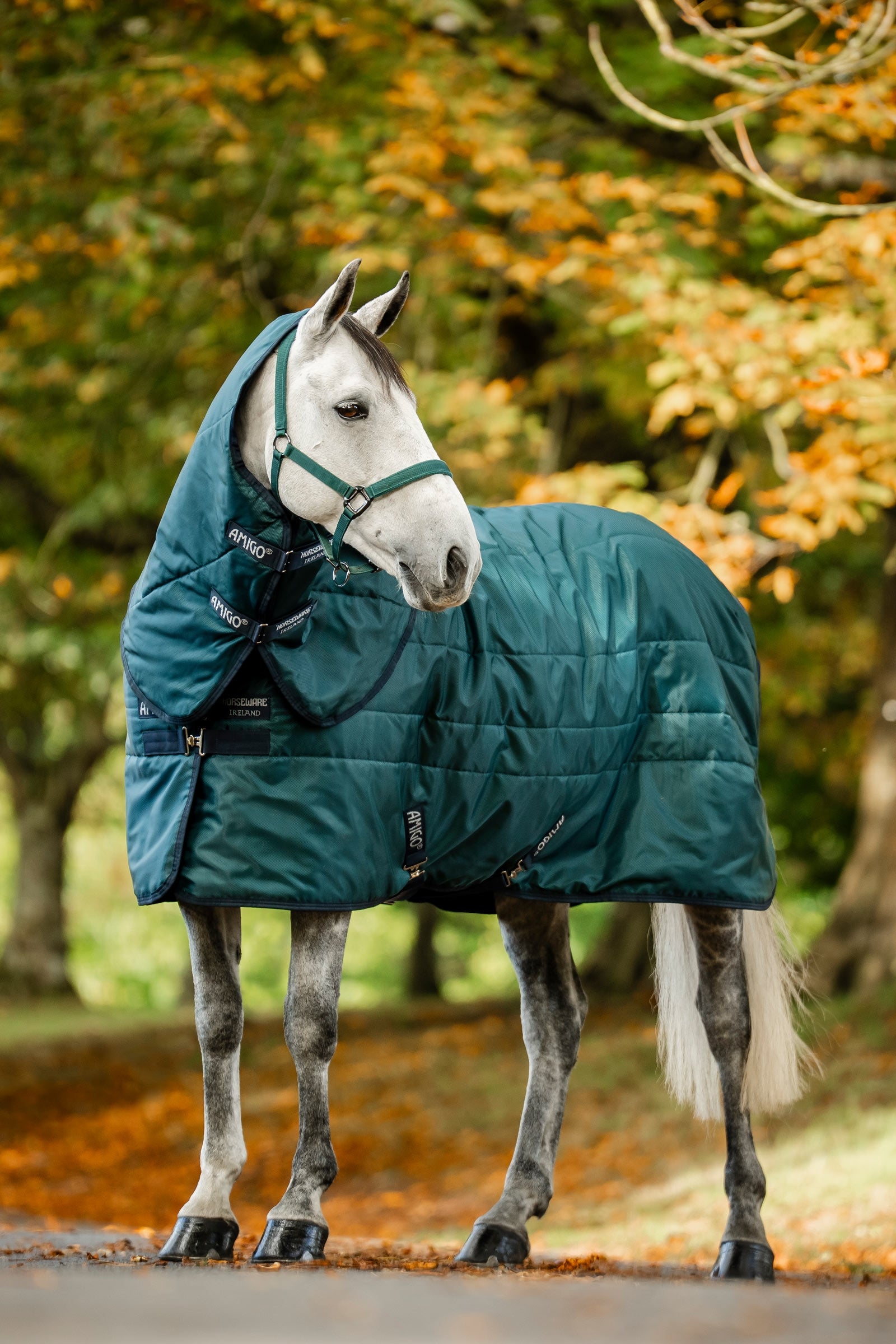 Horseware Amigo Ripstop Insulator Stable Rug, 200g Horse Rugs