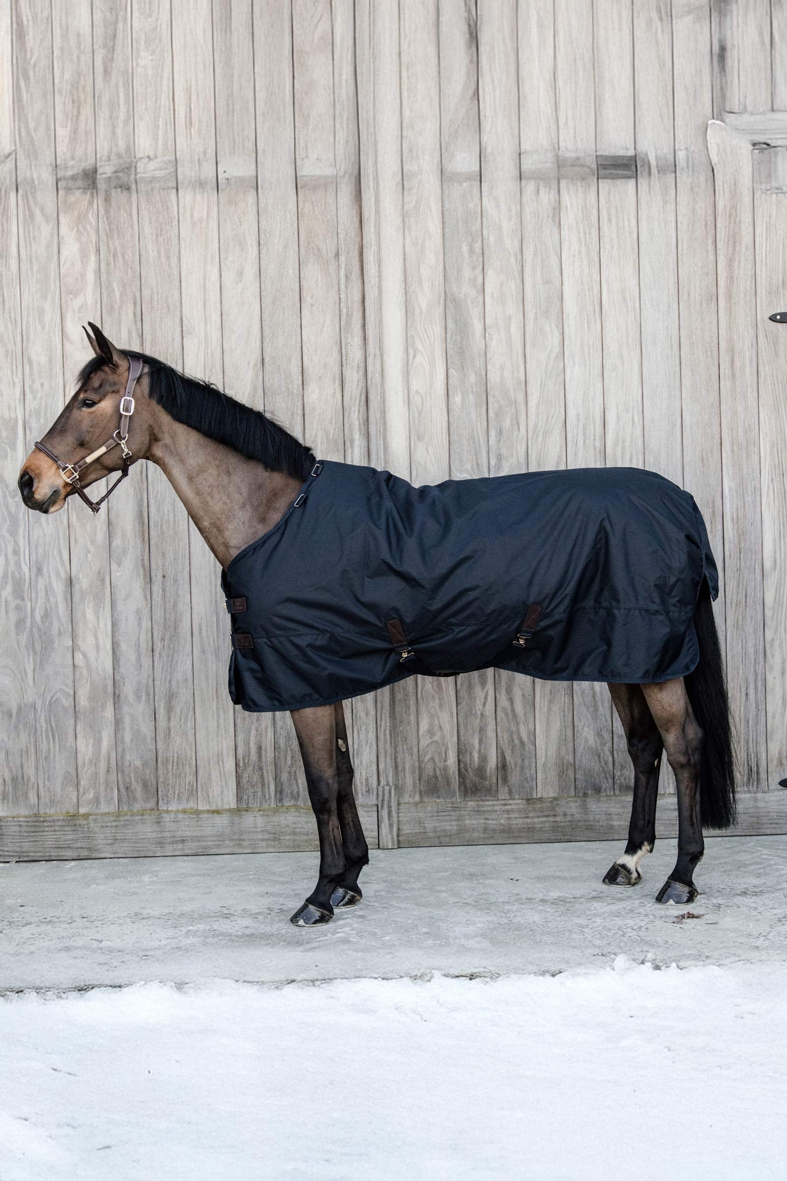 Kentucky Horsewear Pony Turnout Rug All Weather Waterdicht Classic, 150g Paardendekens