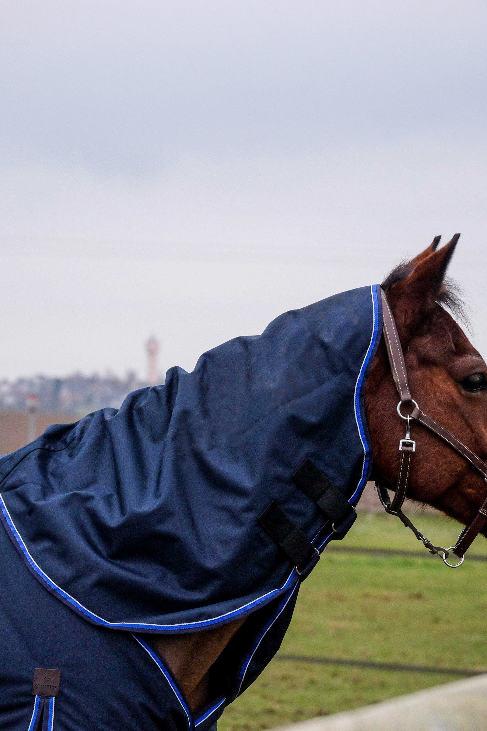 EQUITHÈME Classic 1200D halsstuk, 0 g Paardendekens