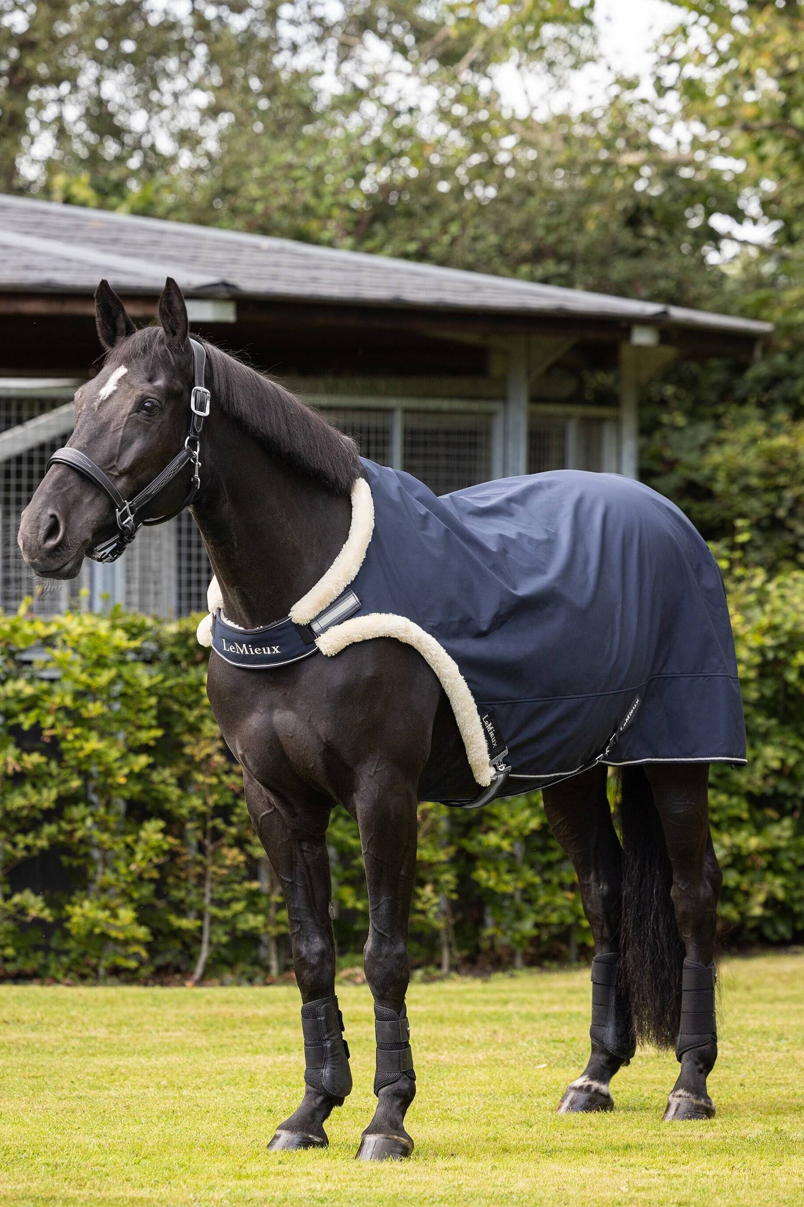 LeMieux Leiddeken Paardendekens