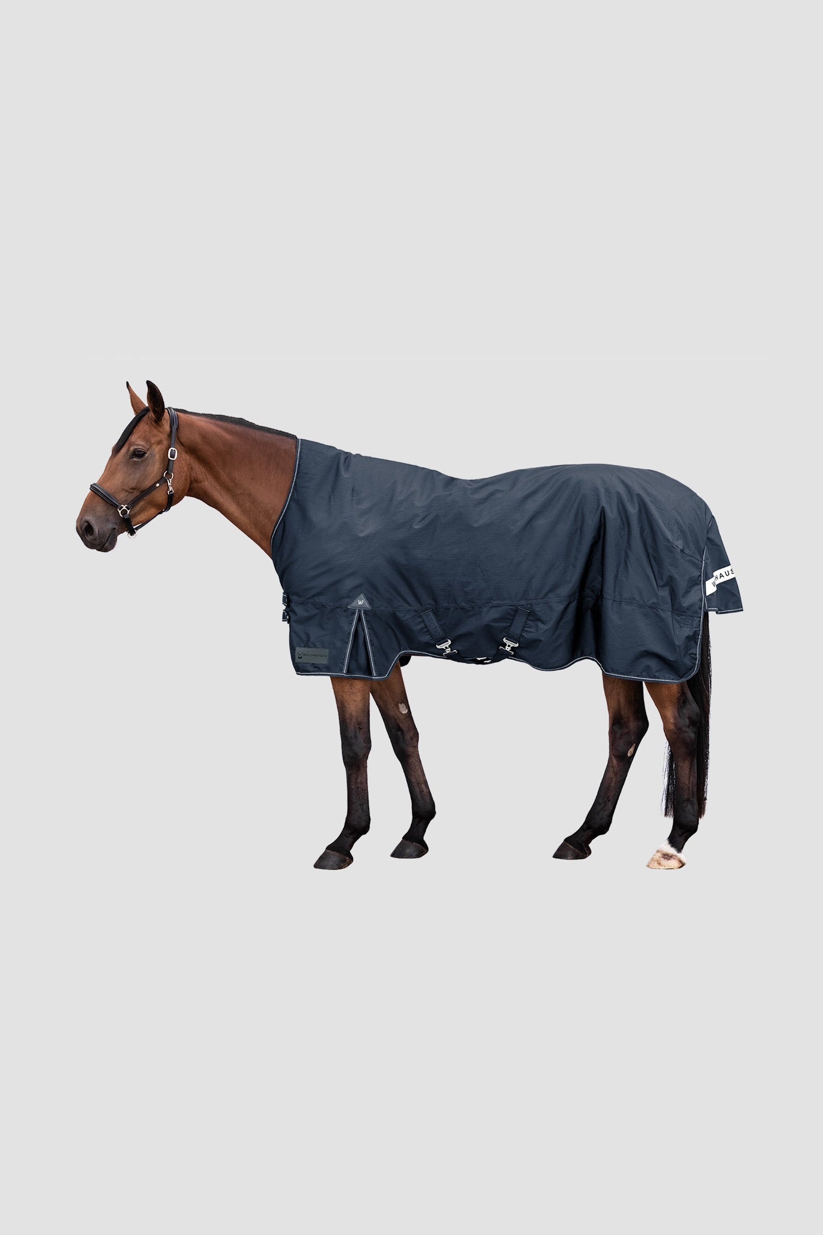 Waldhausen Outdoor Rug Arctic High Neck 200 g Horse Rugs