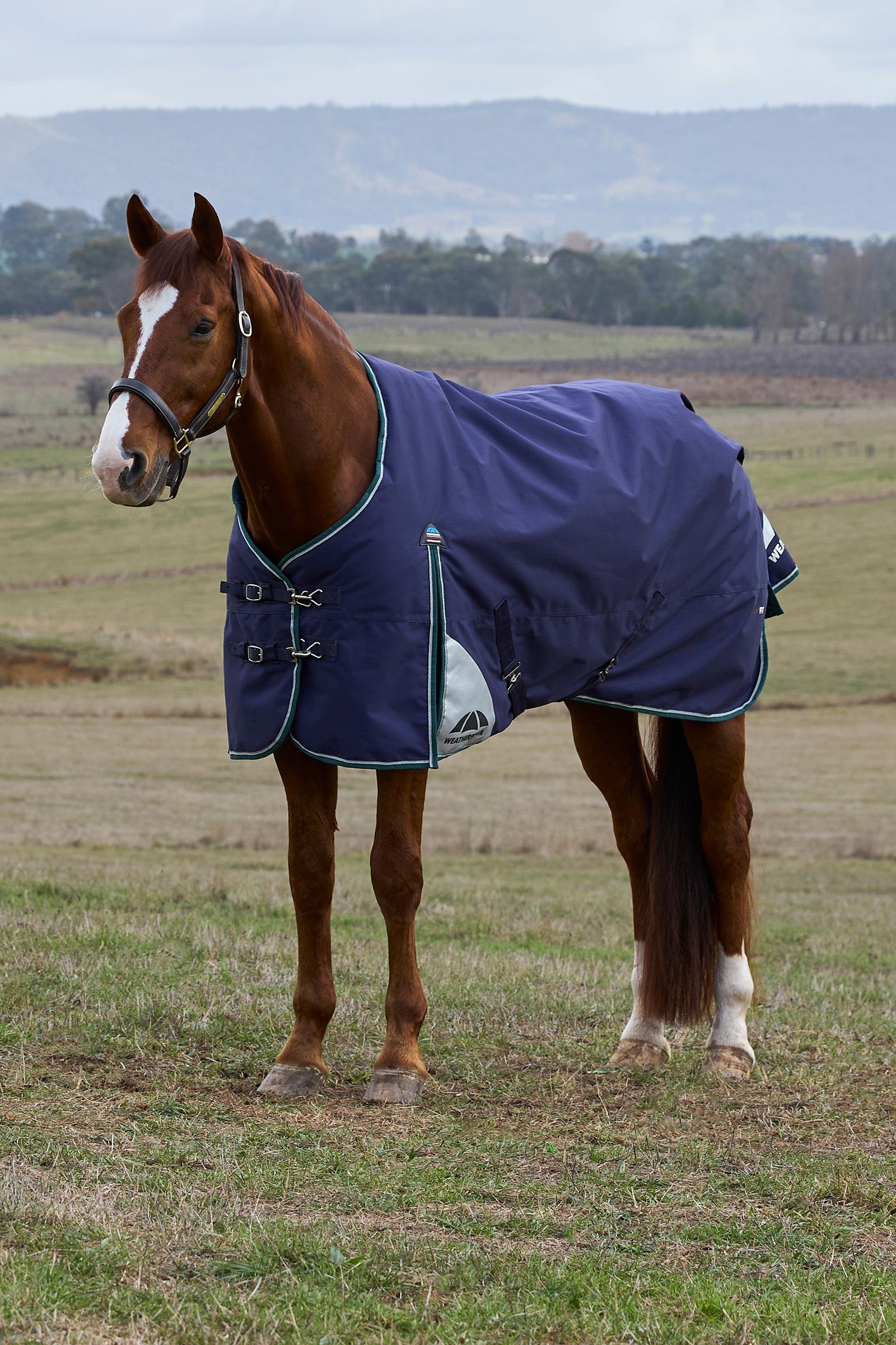 Weatherbeeta ComFiTecPlus Dynamic Turnout Detach-A-Neck 100G Horse Rugs
