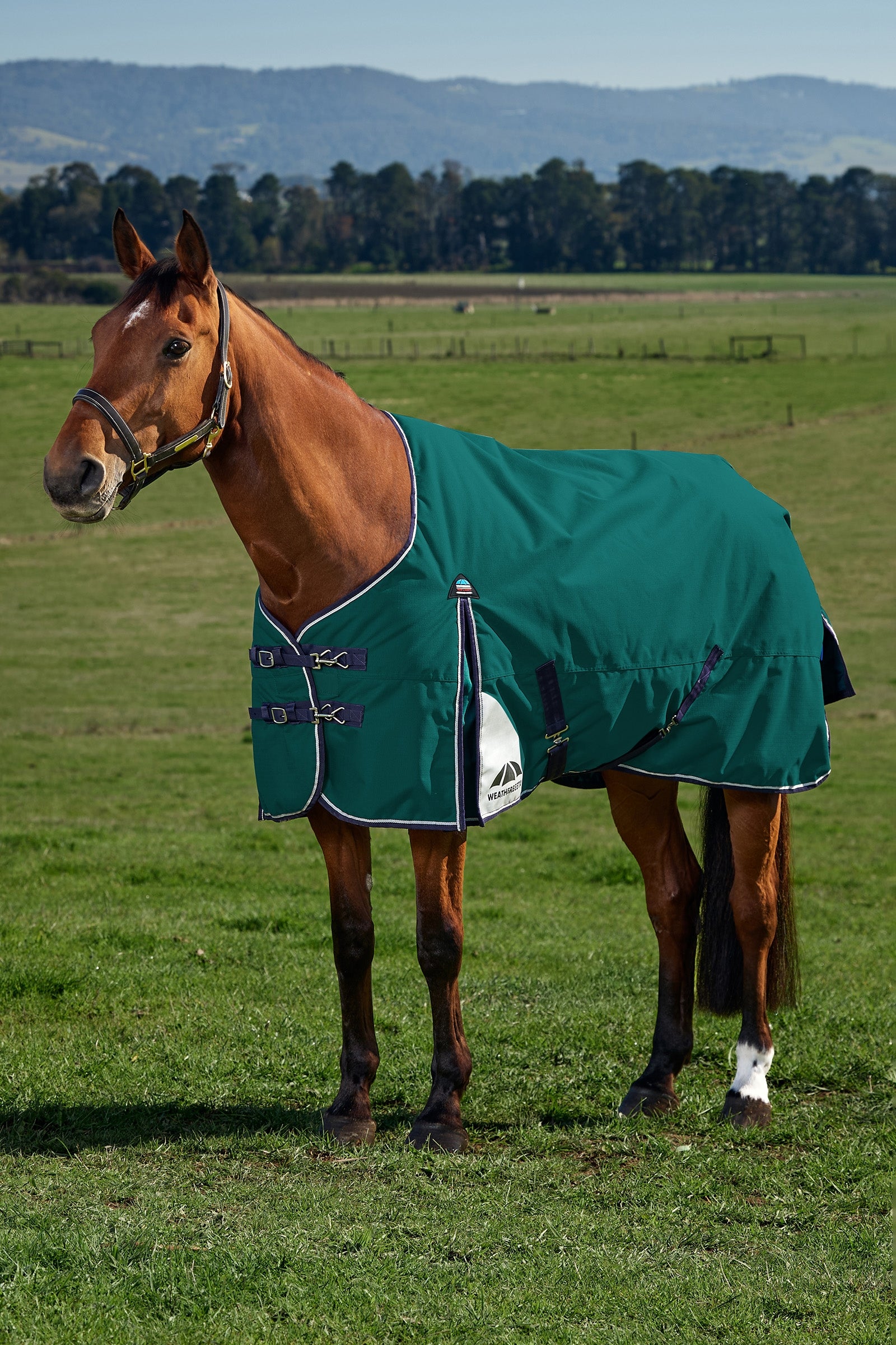 Weatherbeeta ComFiTecPlus Dynamic Turnout Detach-A-Neck 100G Paardendekens