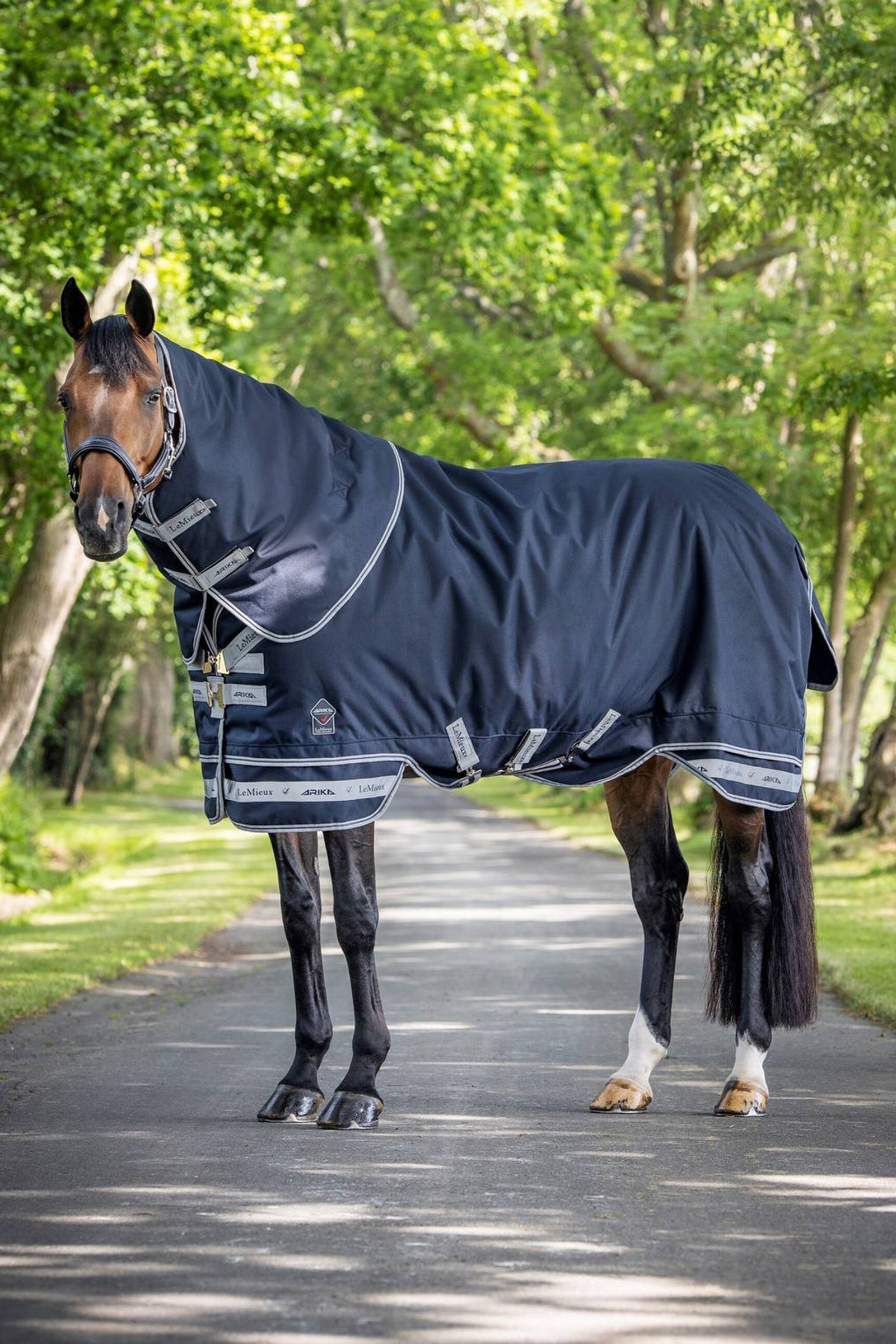 LeMieux Arika Storm-Tek Lightweight Turnout Rug, 100g Paardendekens