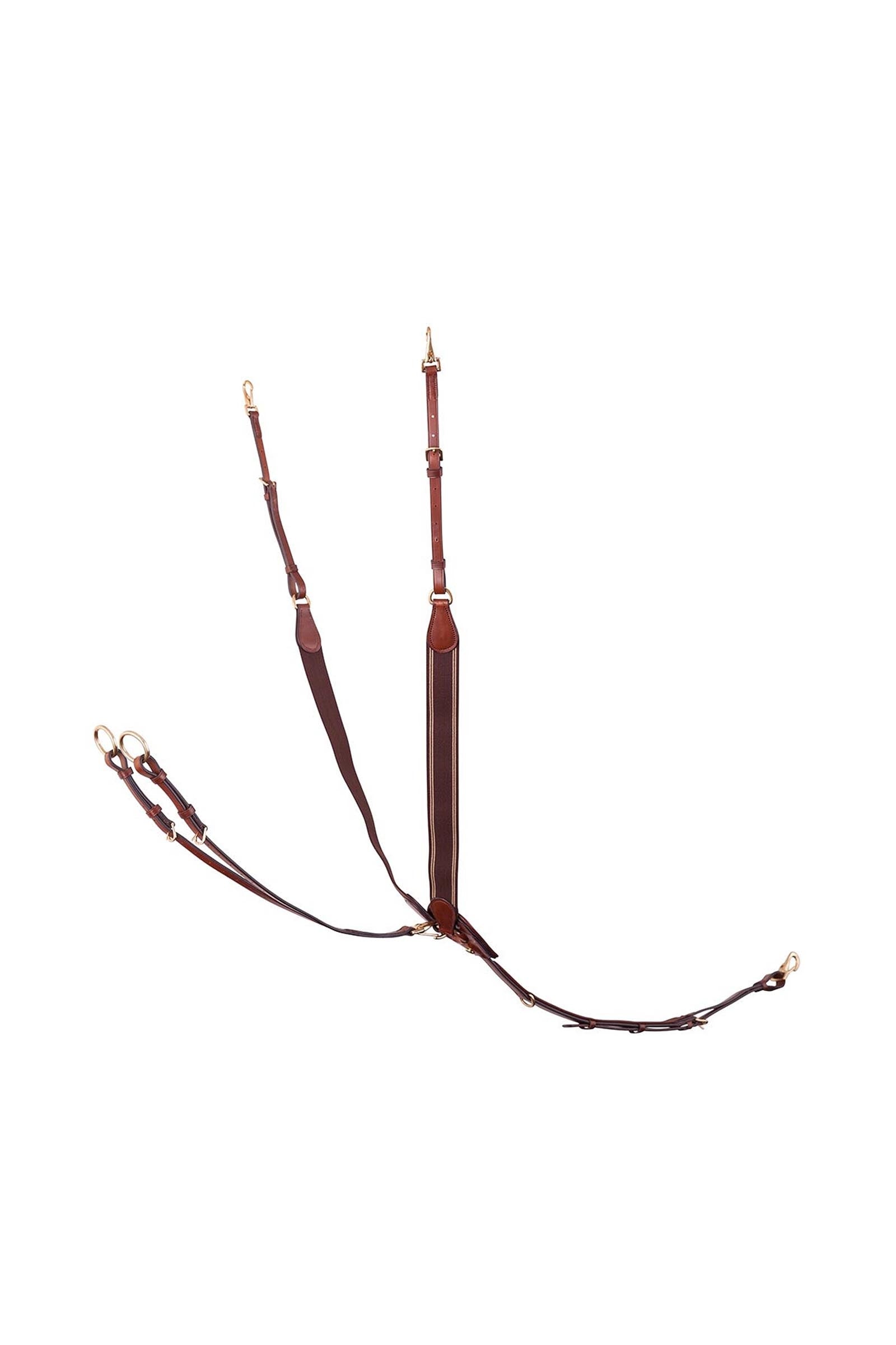 BR Taunton elastisch borsttuig met afneembare martingaal Hoofdstellen & Teugels