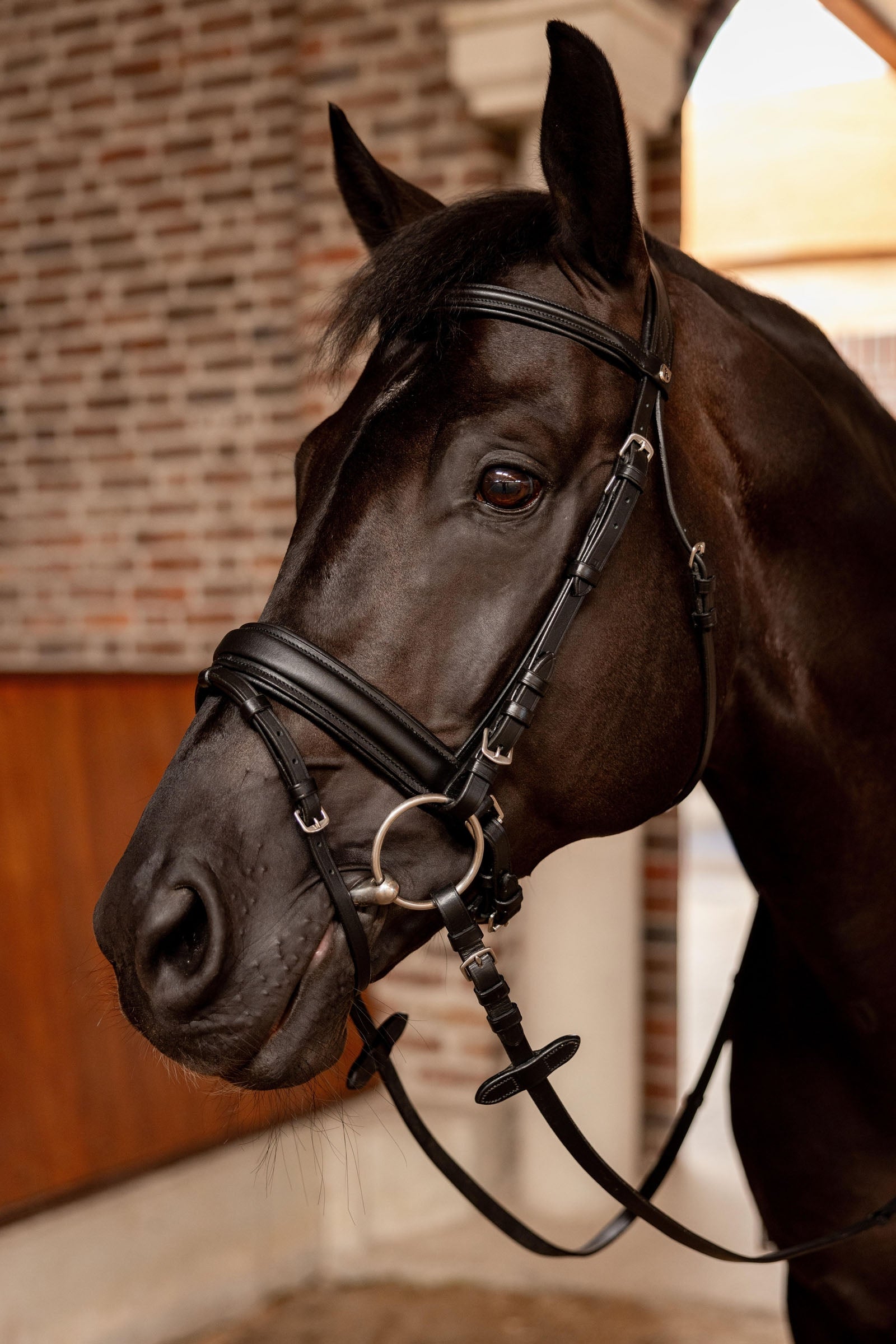 Horze Eternal Gaze Dressage Bridle Bridles & Reins