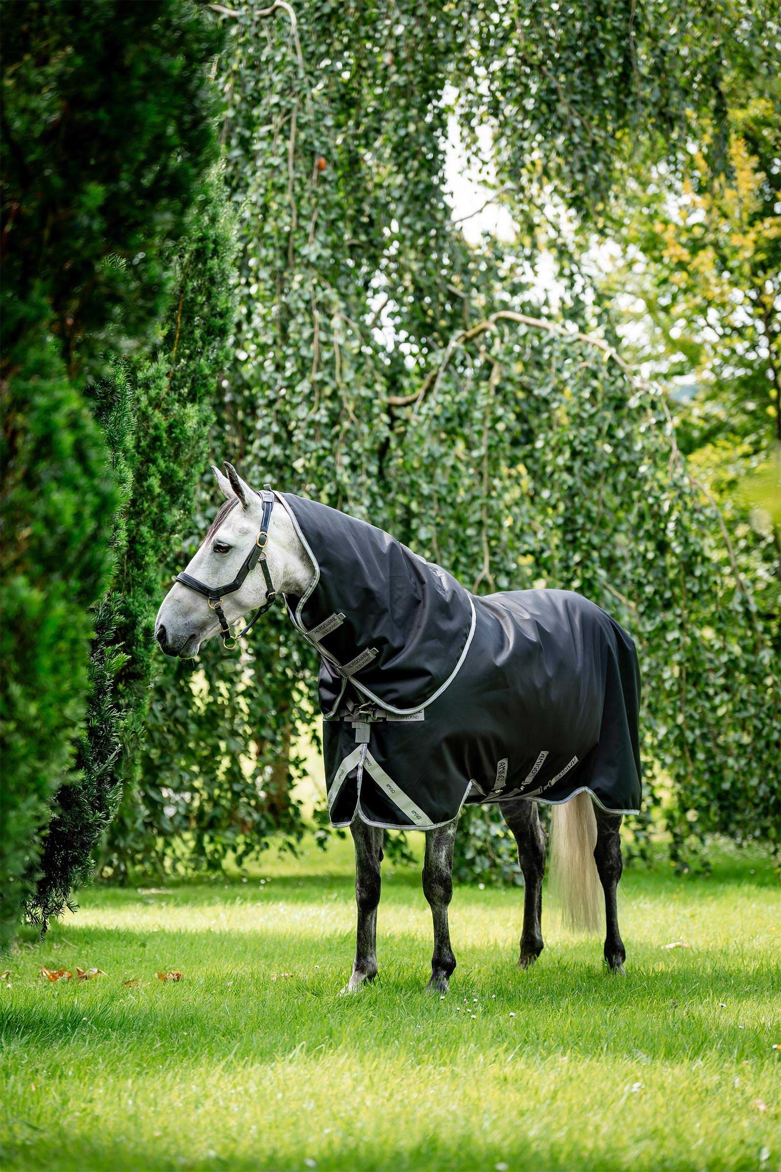 Horseware Amigo Bravo 12 Plus outdoordeken met afneembare hals, 400g Paardendekens