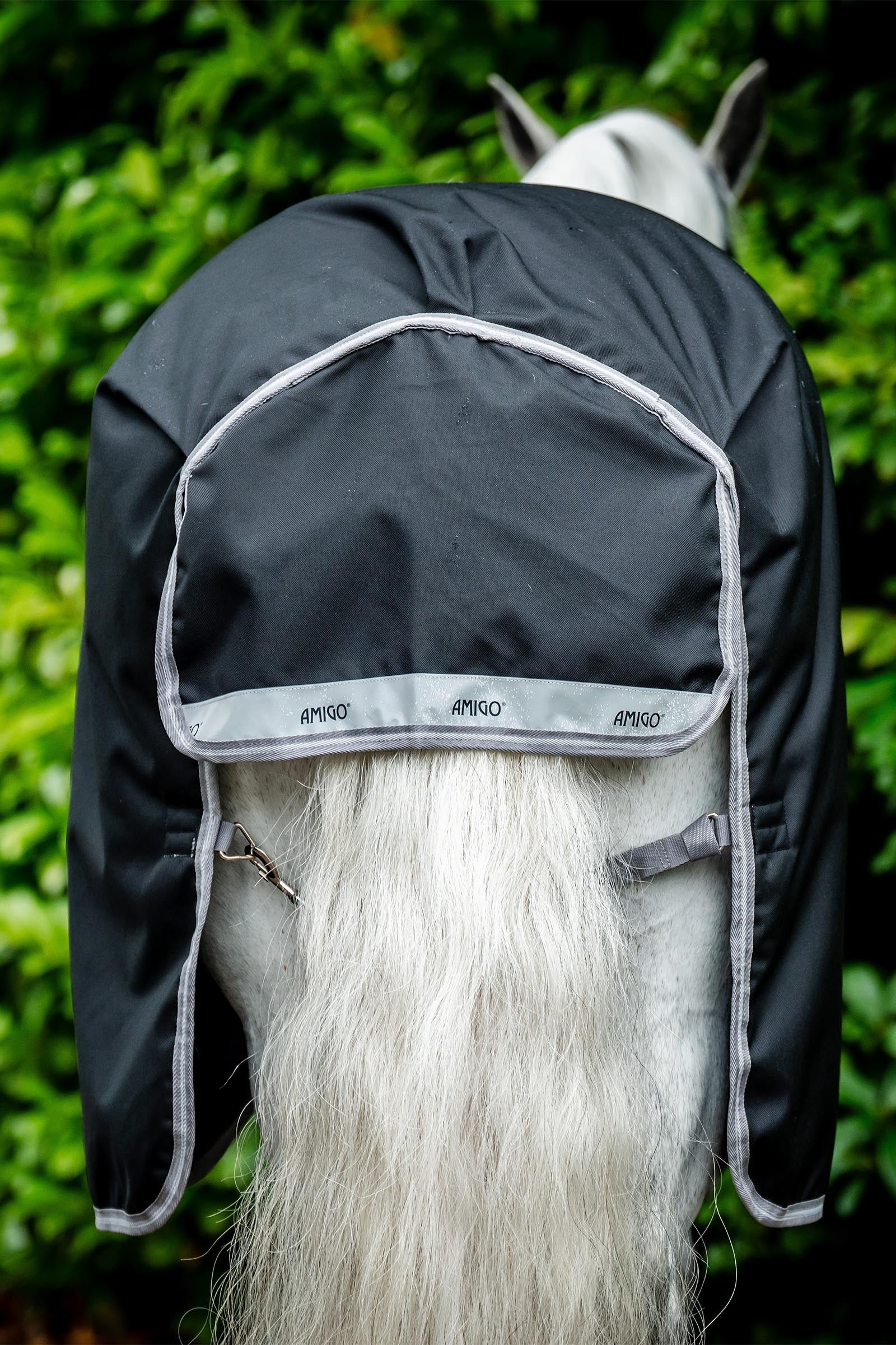 Horseware Amigo Bravo 12 Plus Turnout Rug With Detachable Neck, 400g Horse Rugs