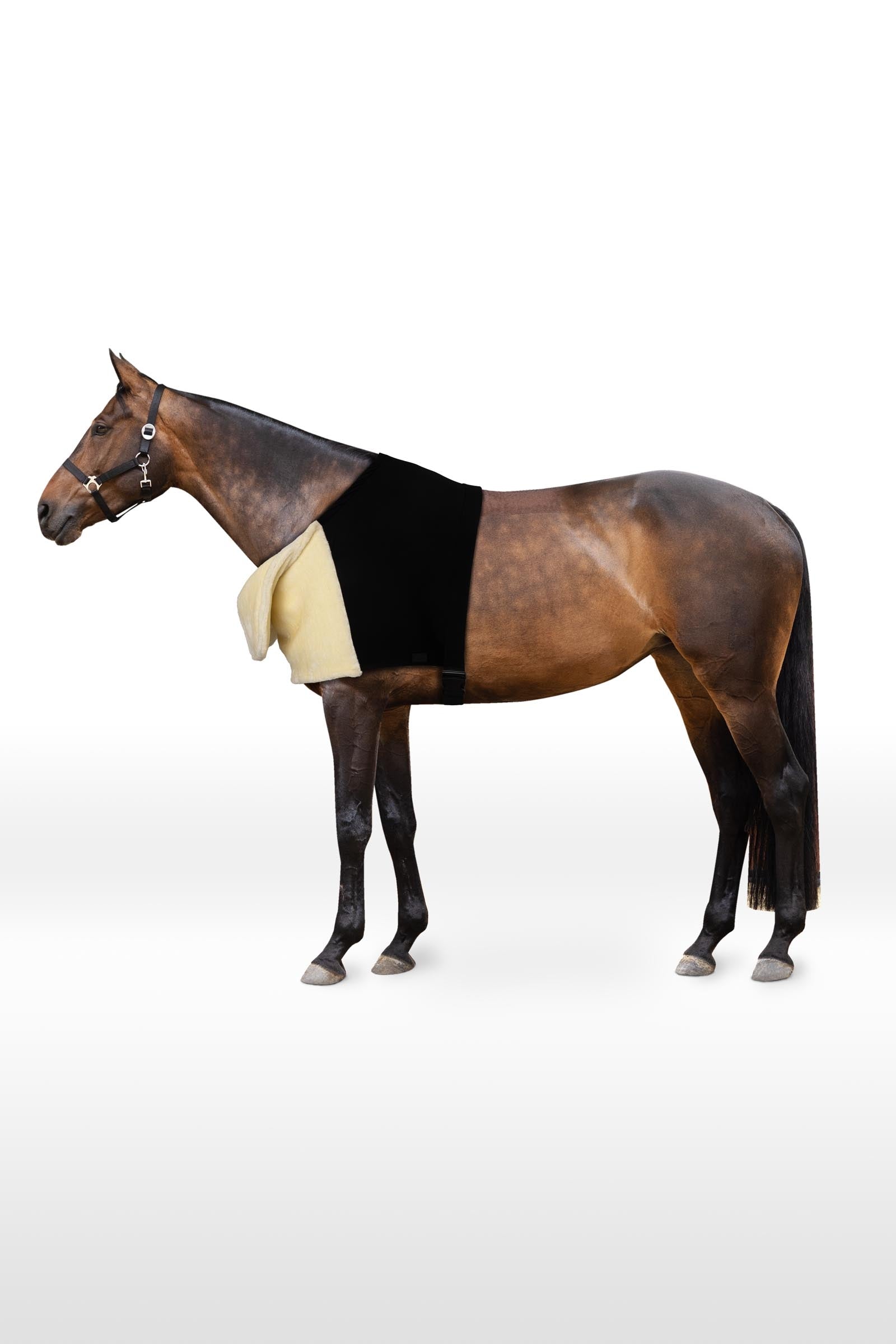 Horze Comfort Shoulder Protector Horse Rugs
