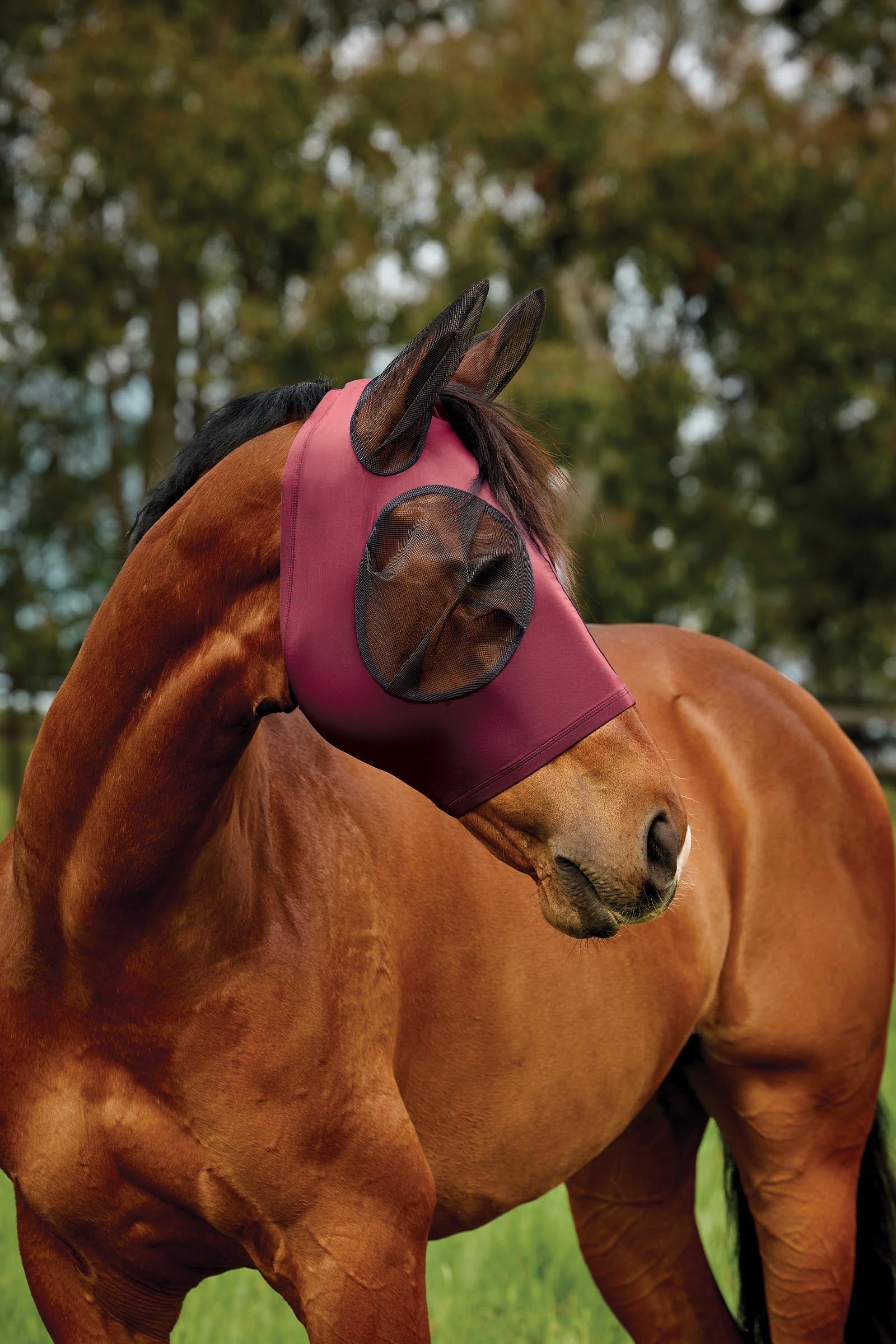 Weatherbeeta Comfitec Deluxe Stretch Fly Mask With Ears Antifly Protection for Horses