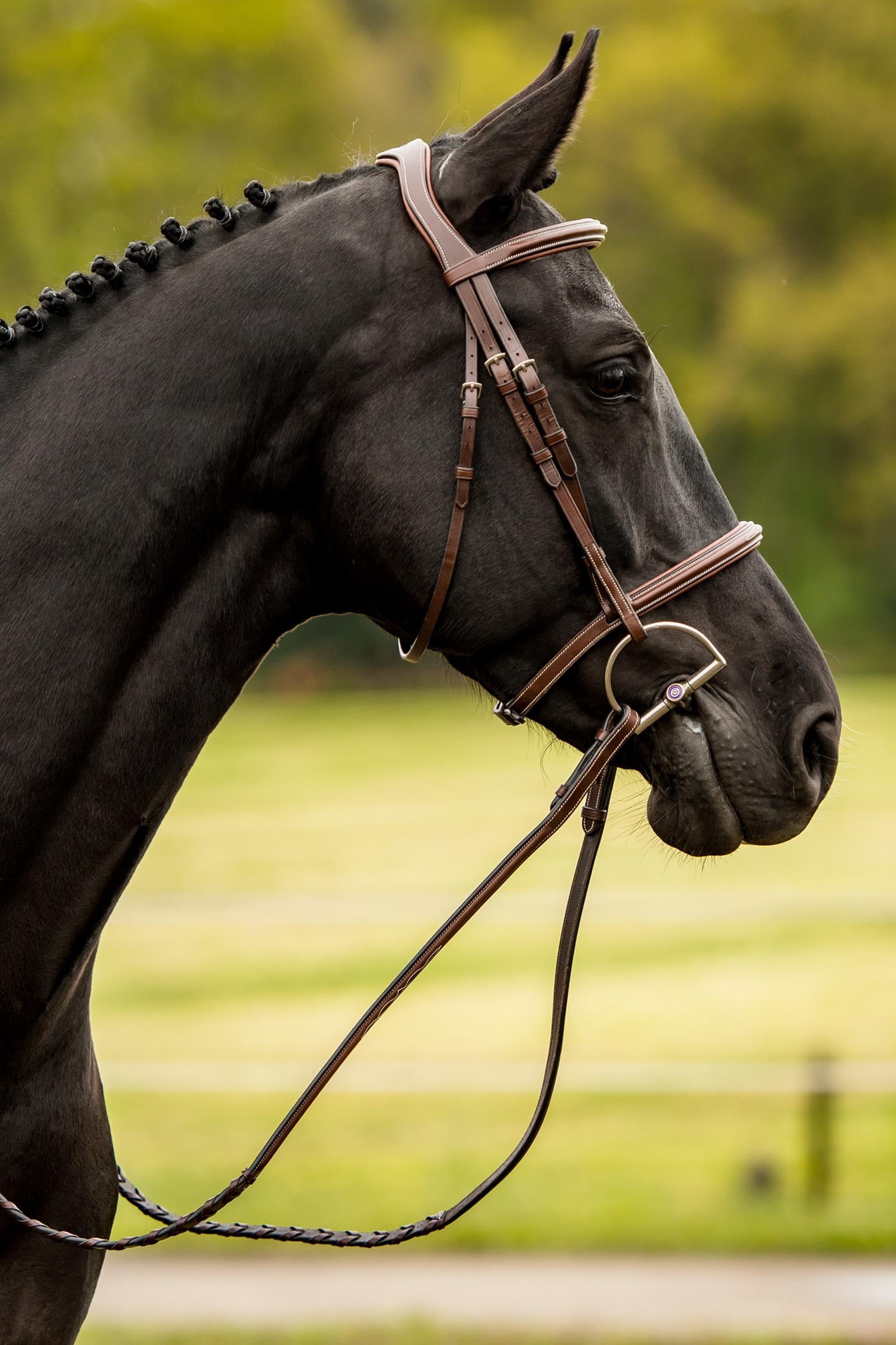 Trust Equestrian Hunter Bridle Kentucky Bridles & Reins