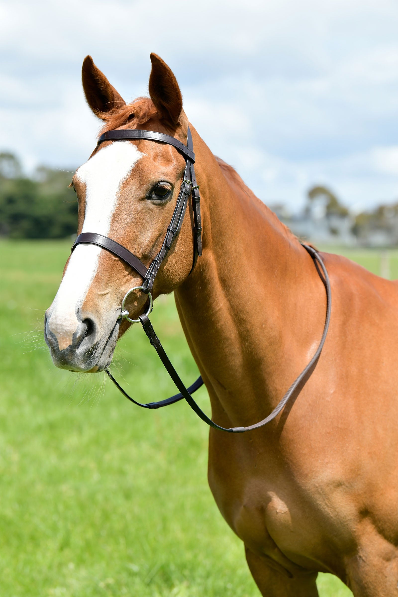 Kincade Classic vlak jachthoofdstel met teugels Hoofdstellen & Teugels