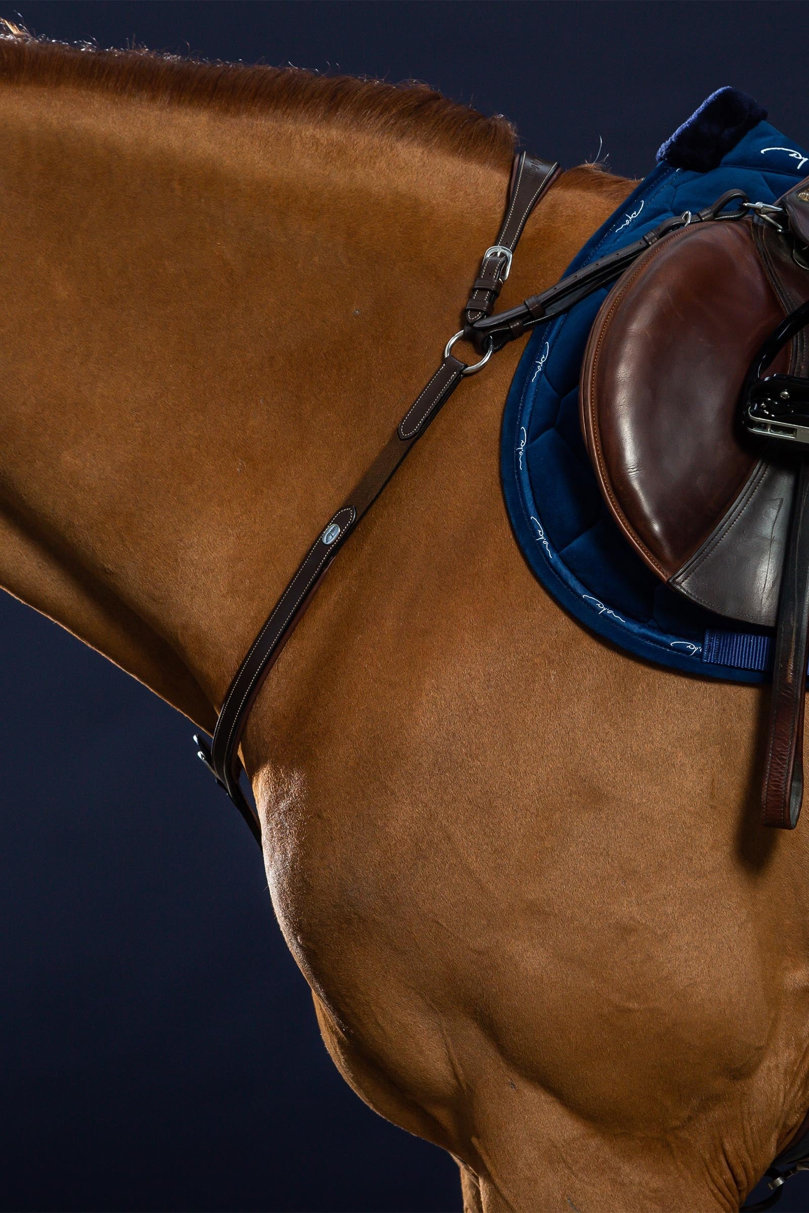 Dy'on Working Bridge Breastplate Bridles & Reins