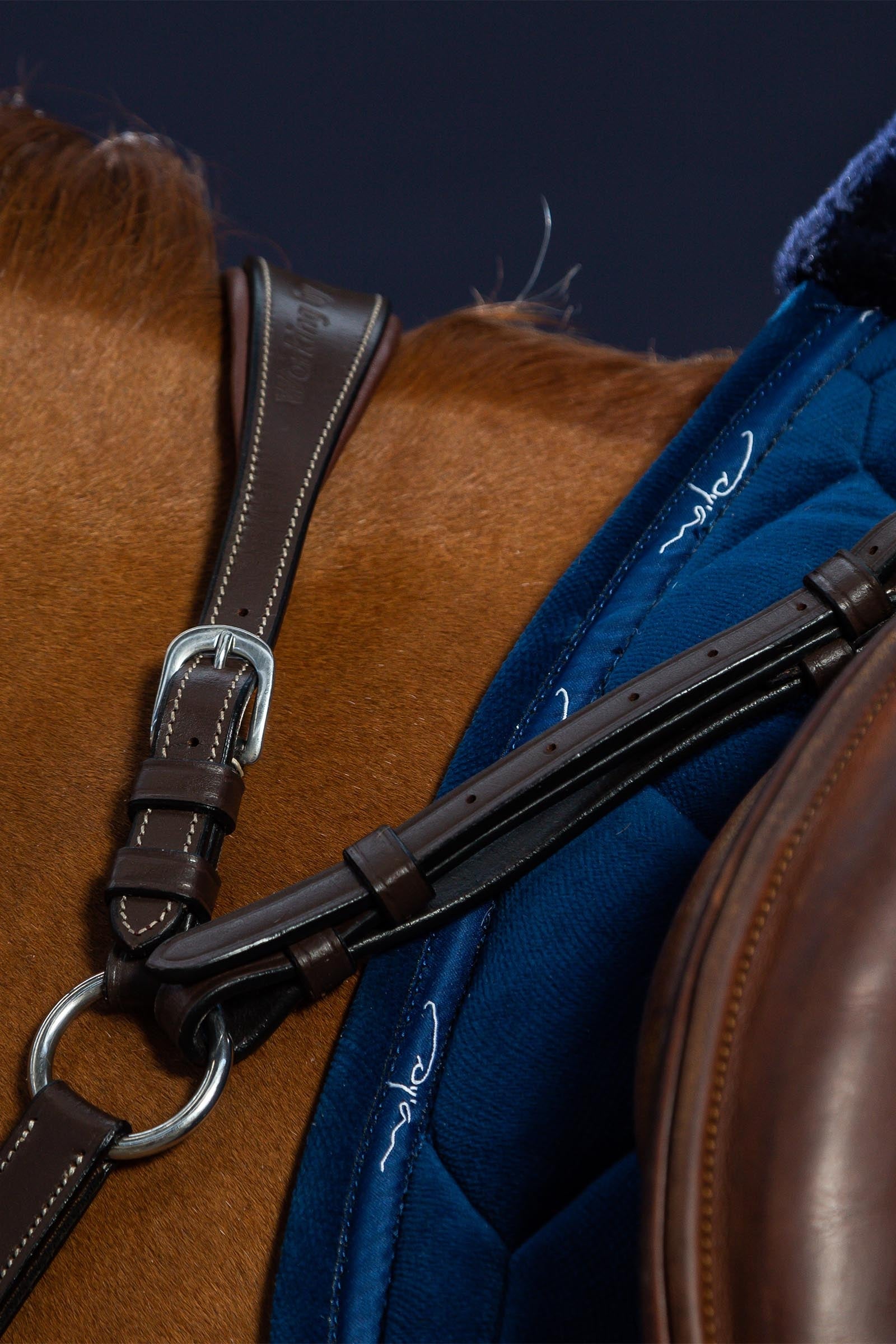 Dy'on Working Bridge Breastplate Bridles & Reins