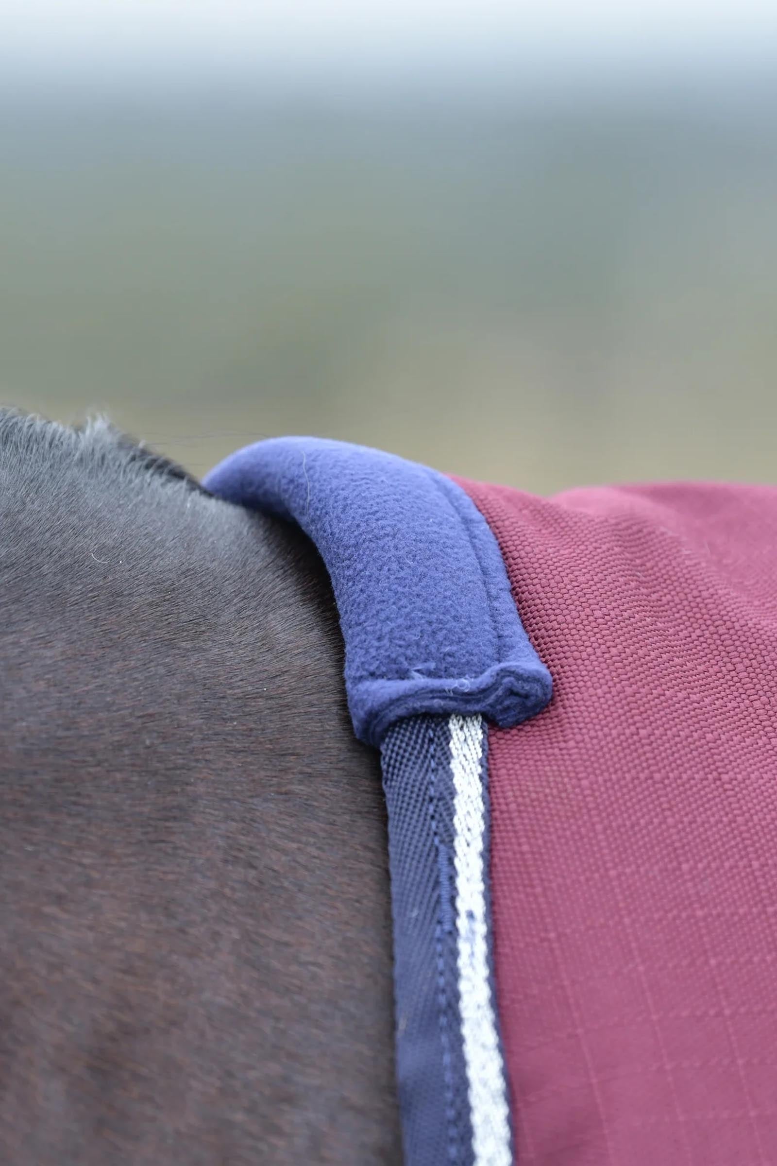 Weatherbeeta ComFiTec Essential Turnout Standard Neck 50G Horse Rugs