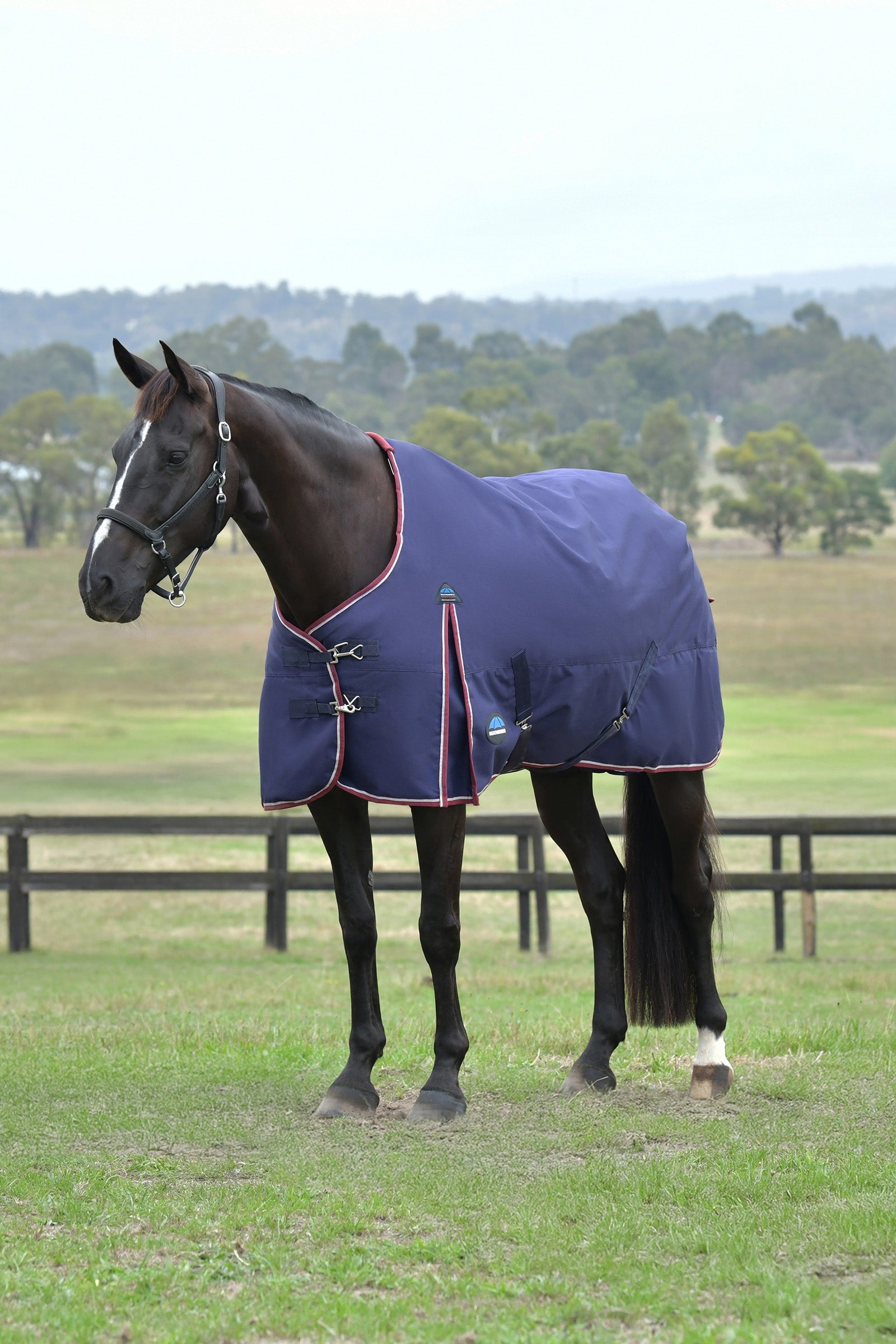 Weatherbeeta ComFiTec Essential Turnout Standard Neck 50G Horse Rugs