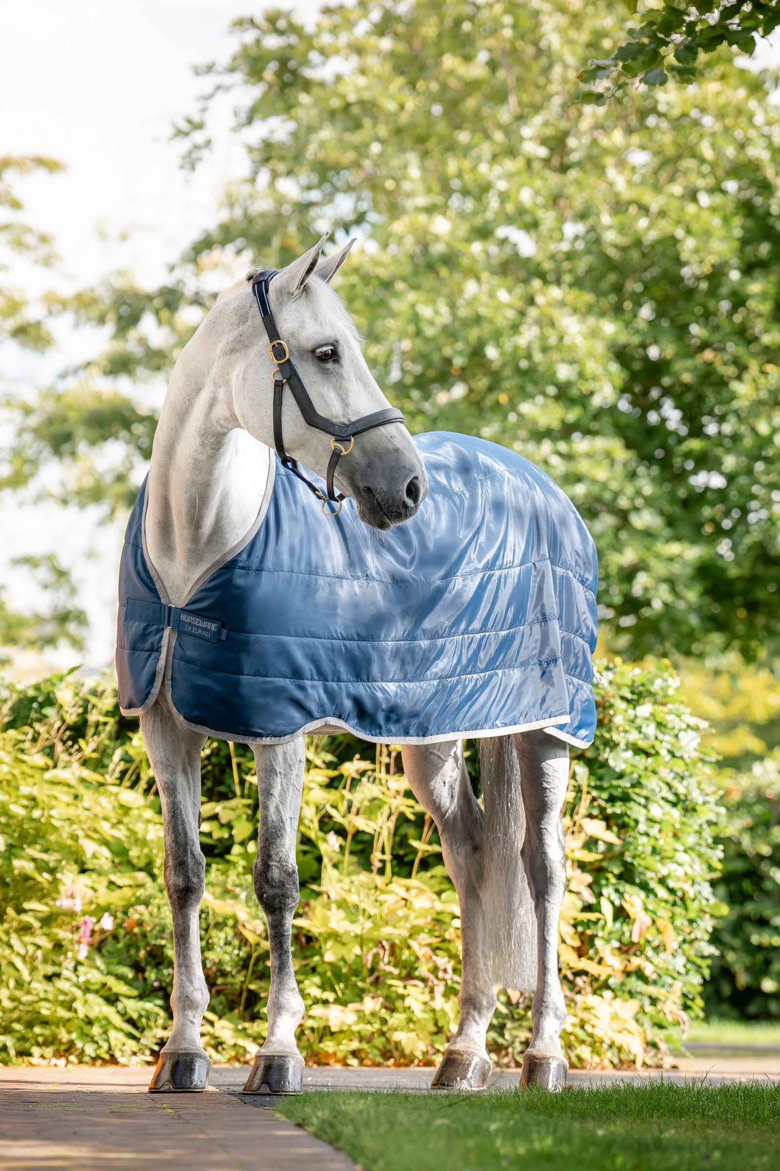 Horseware Ionic Therapy onderdeken 200 g Paardendekens