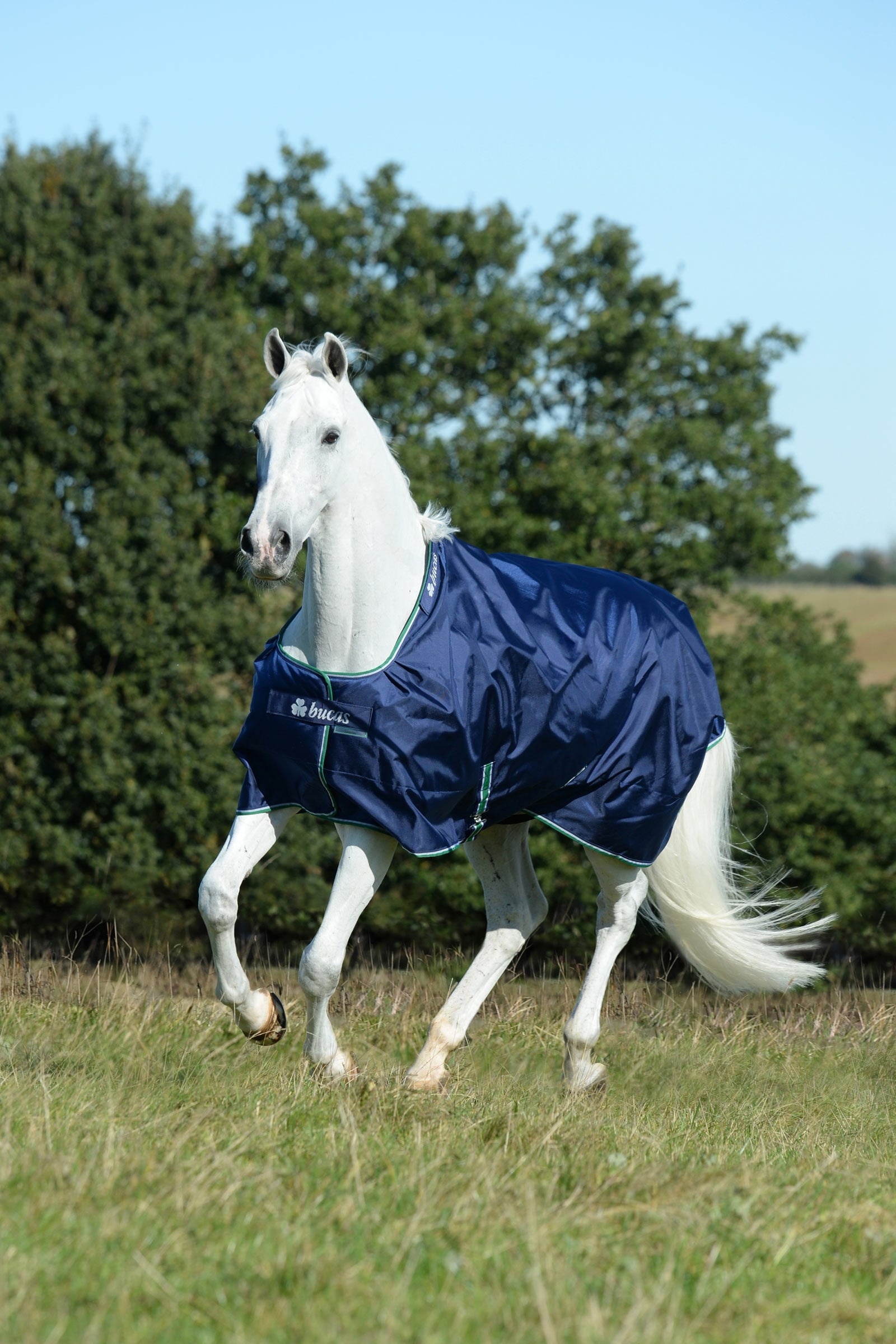 Bucas Smartex Rain Turnout Rug with Big Neck, 0g Horse Rugs