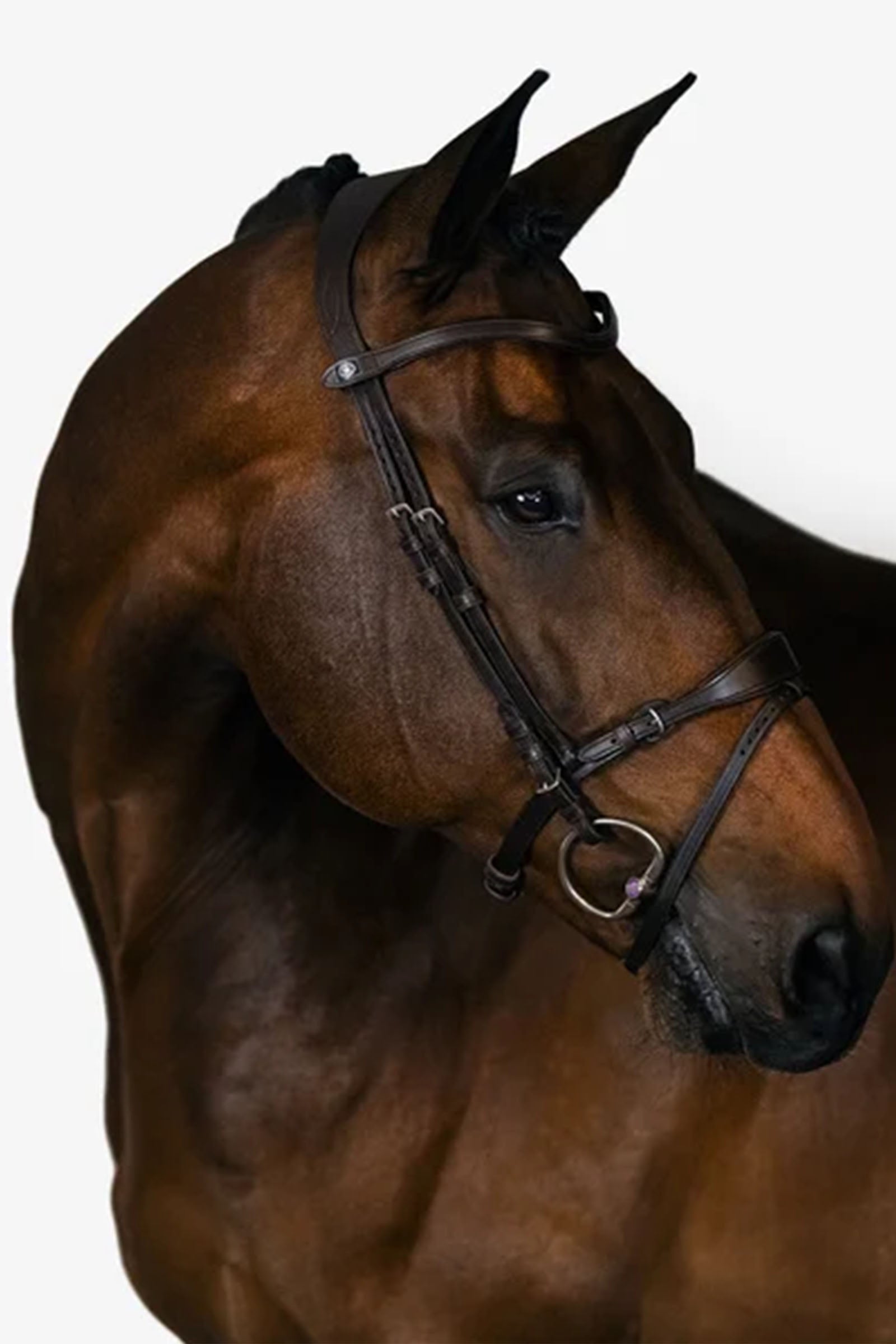 PS of Sweden Bridle, Mary Lou by Henrik von Eckermann Bridles & Reins