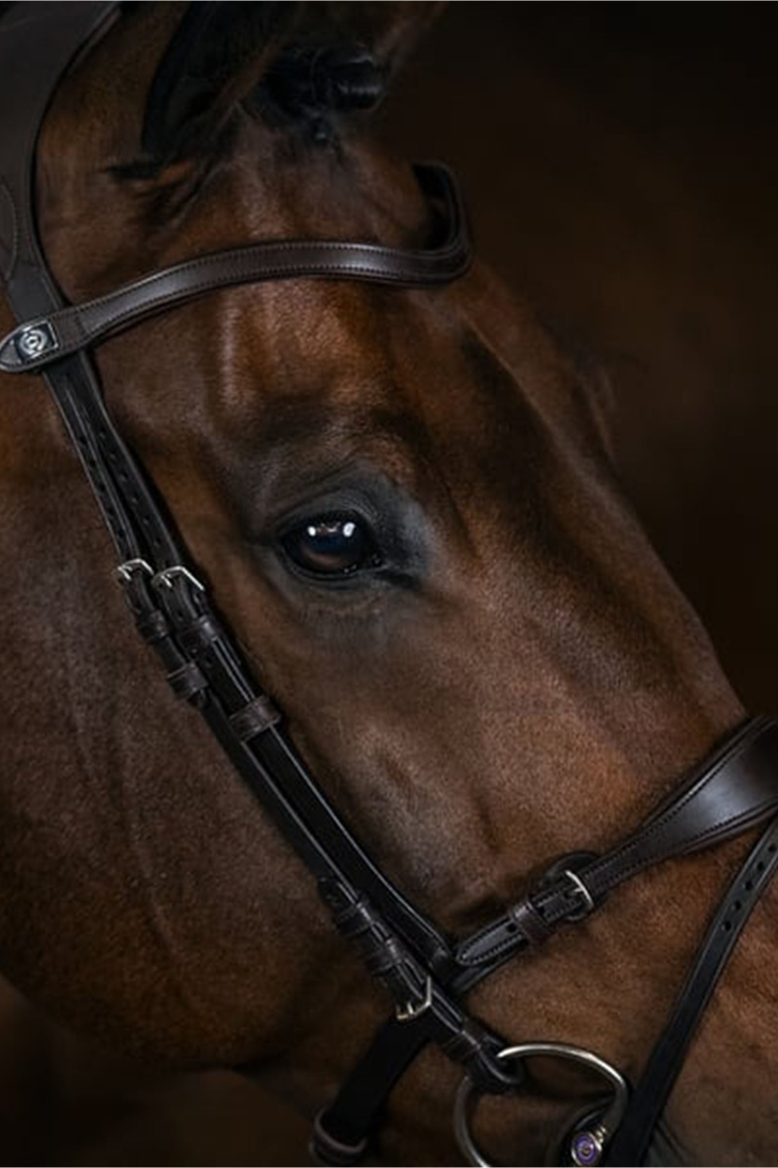 PS of Sweden Bridle, Mary Lou by Henrik von Eckermann Bridles & Reins