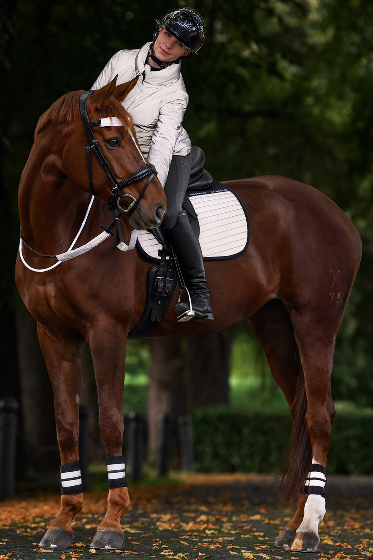 Waldhausen REFLEX Bandages Set Reflective