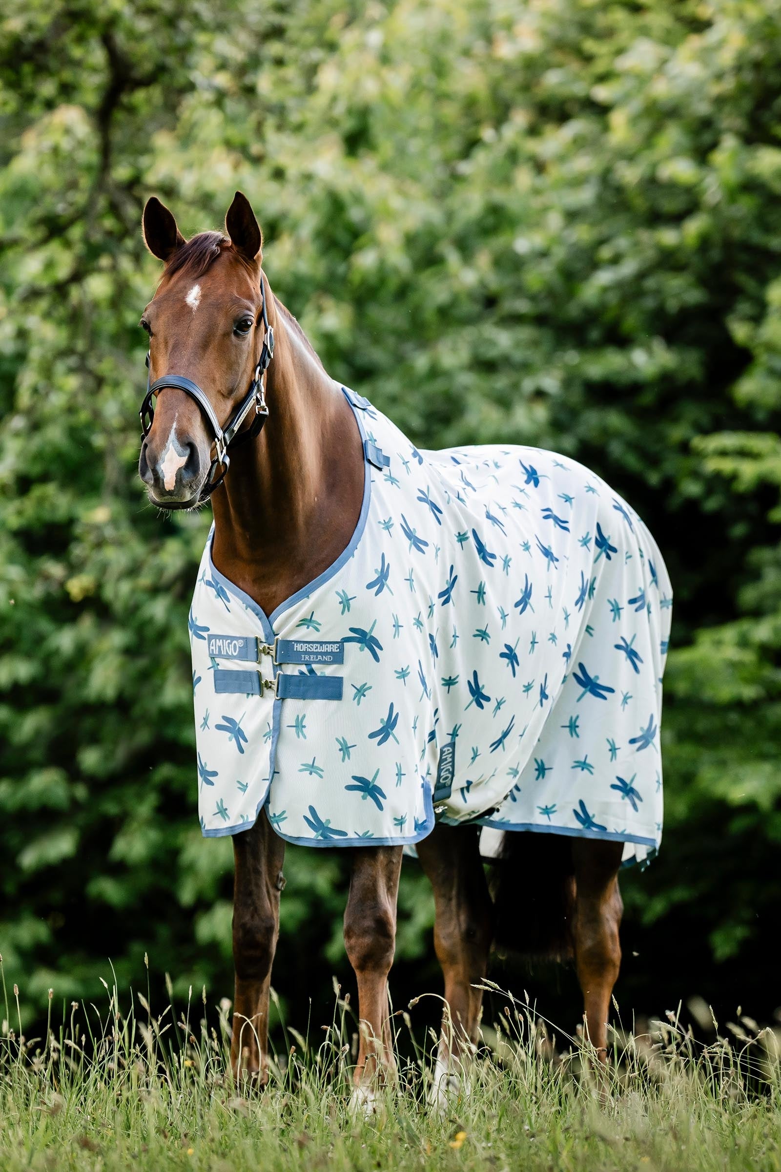 Horseware Amigo vliegendeken met UV-bescherming Paardendekens