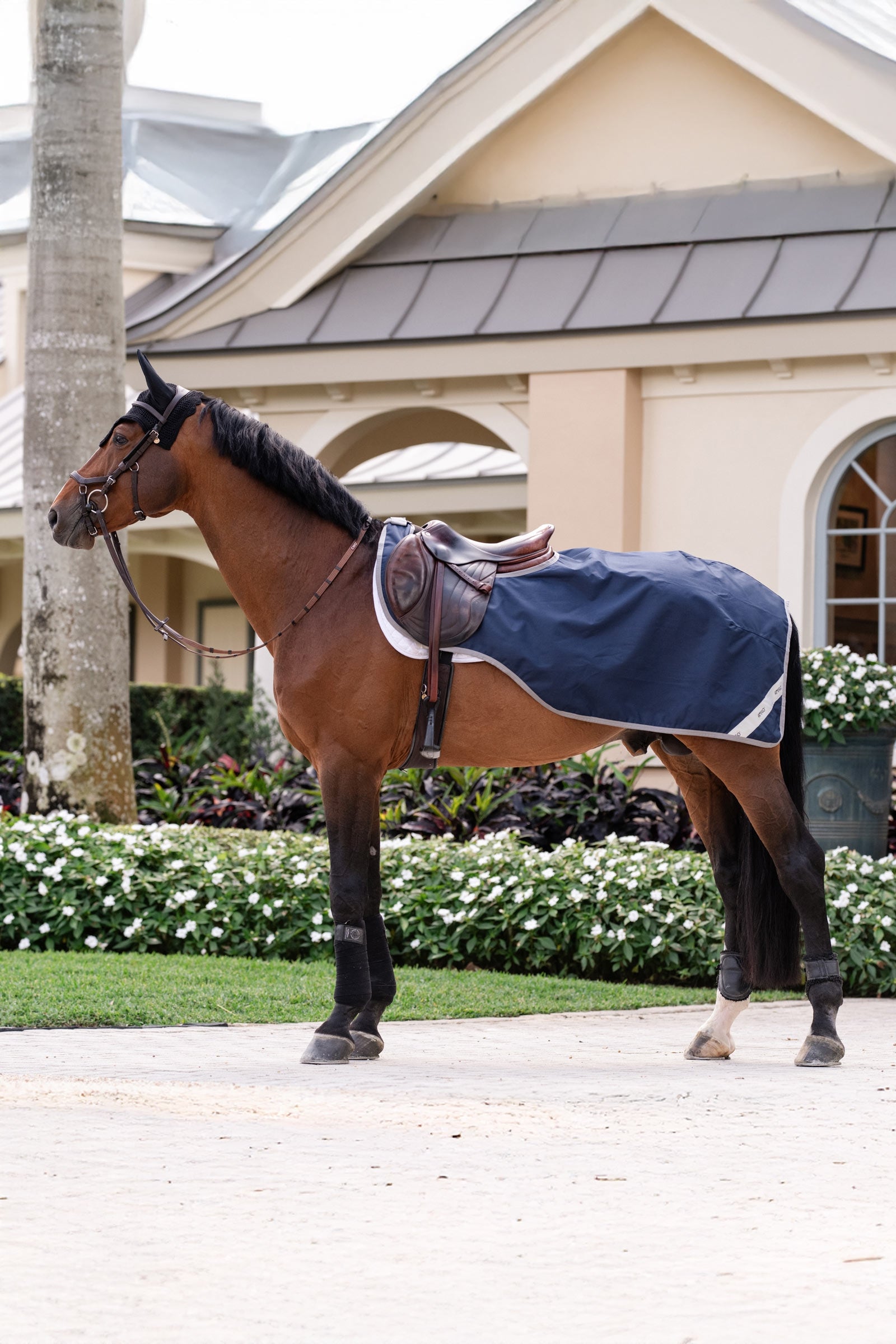 Horseware Amigo Ripstop stapmolton Paardendekens