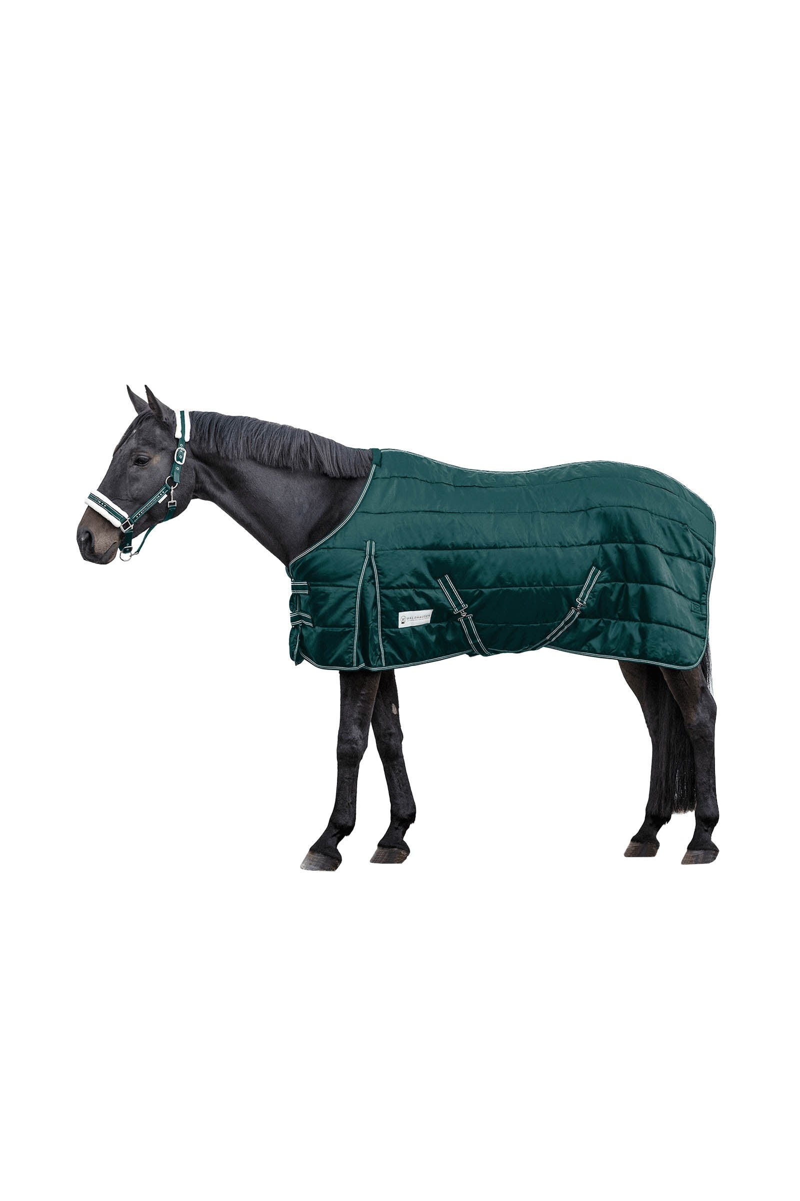 Waldhausen Stable Rug Economic 300 g Paardendekens